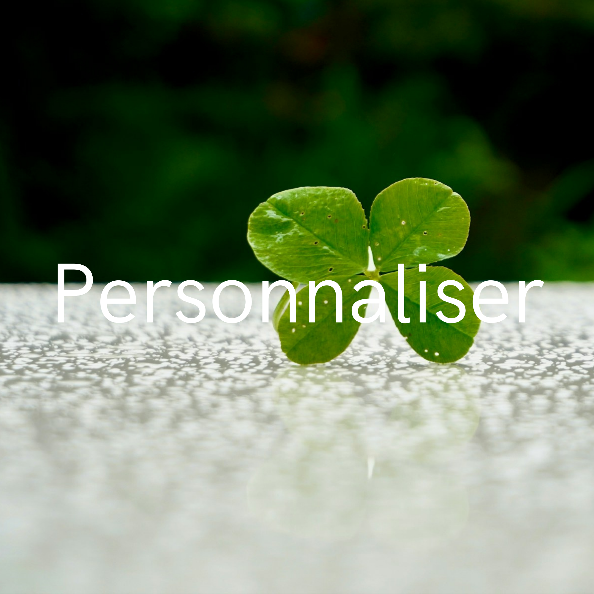 Personnaliser