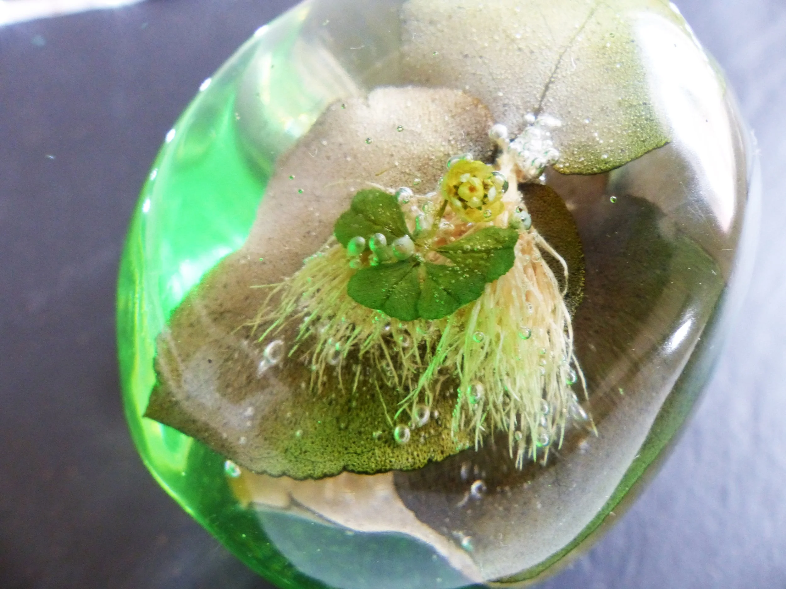 crane vert cadeau .jpg