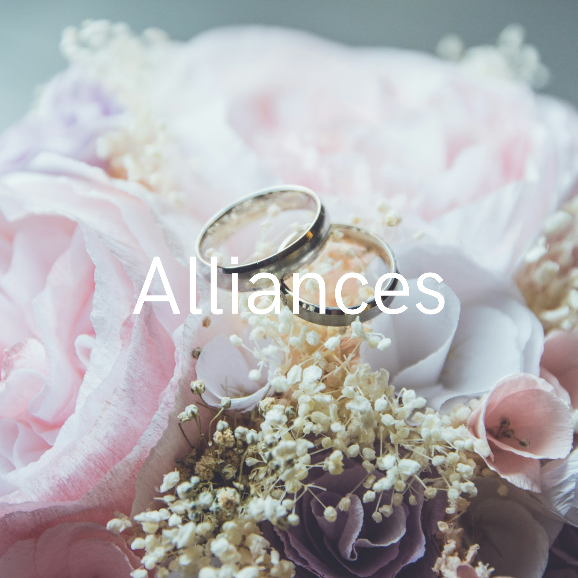 alliances