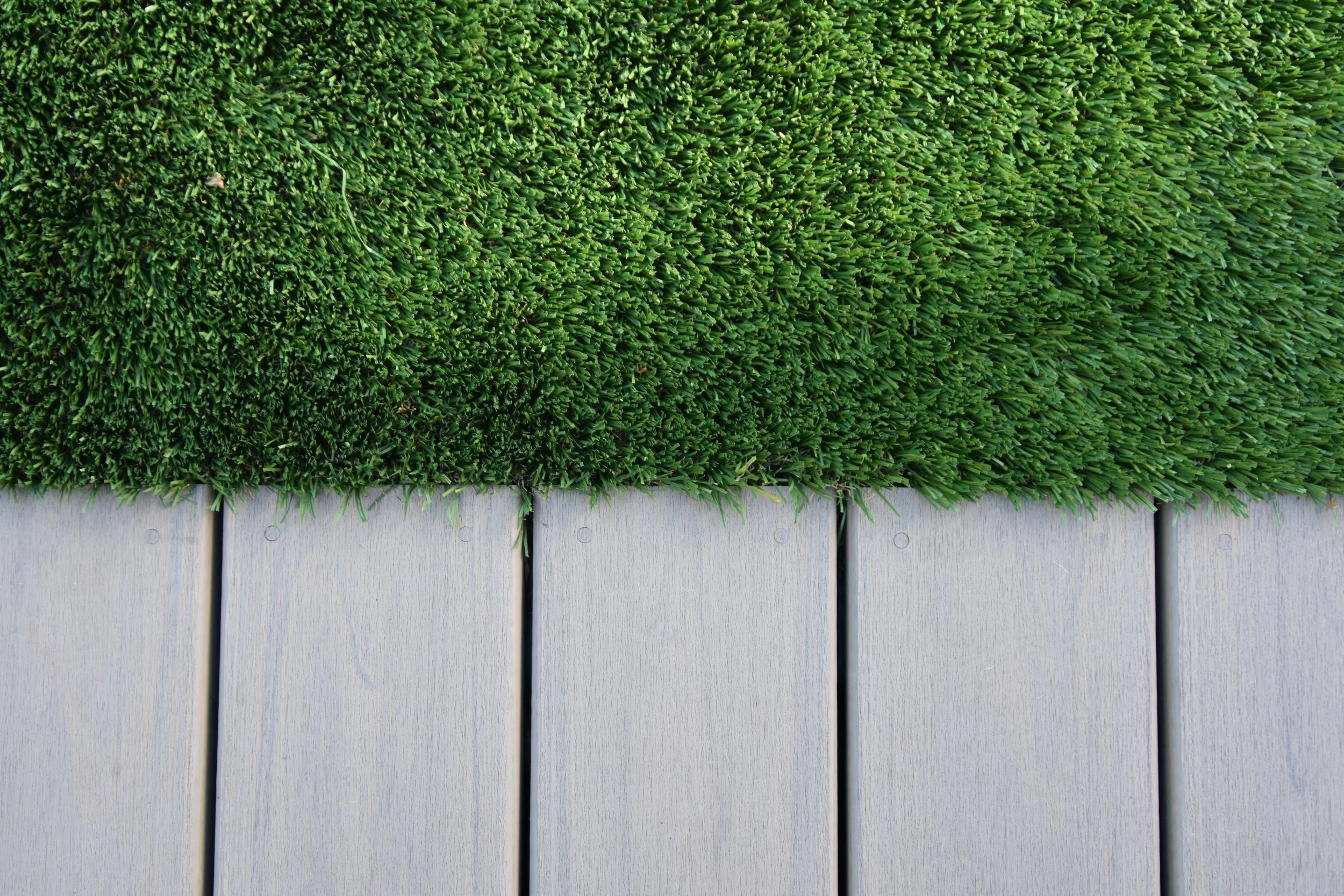 Image taken by ChloeHillPhotos