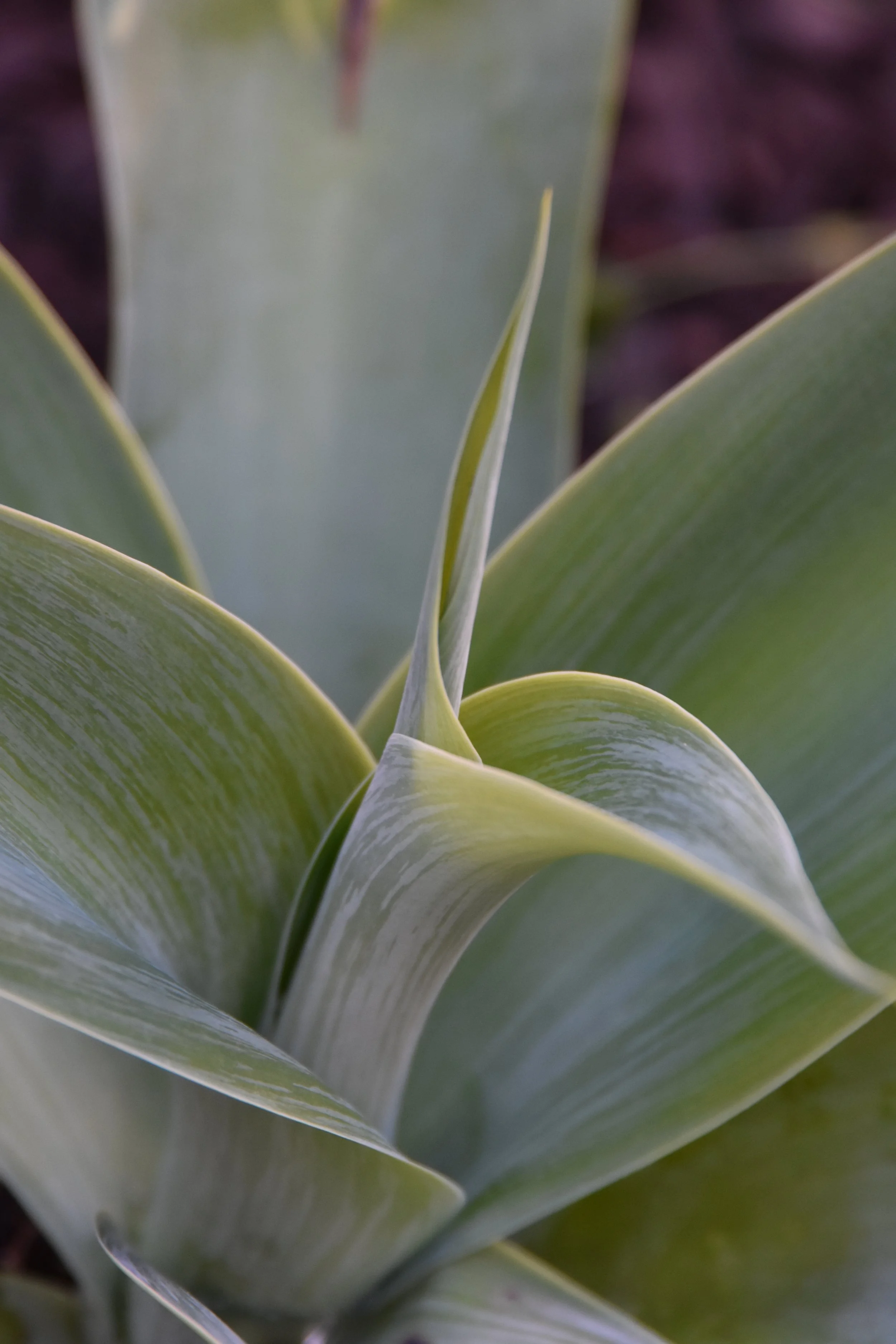 Image taken by ChloeHillPhotos