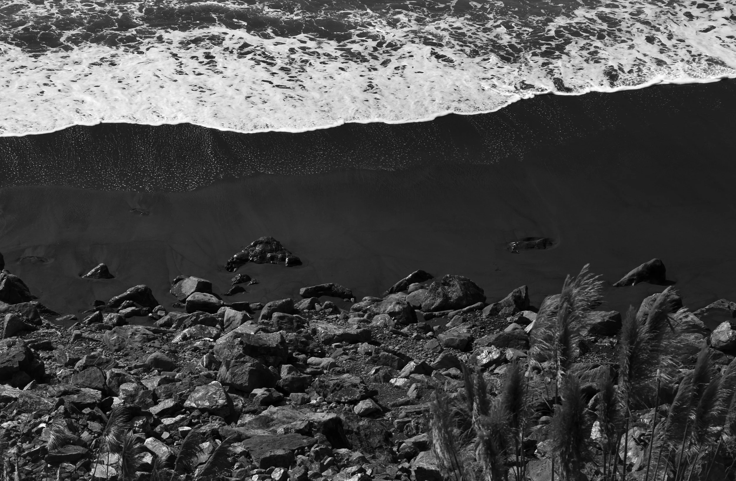 DSC_0049.jpg