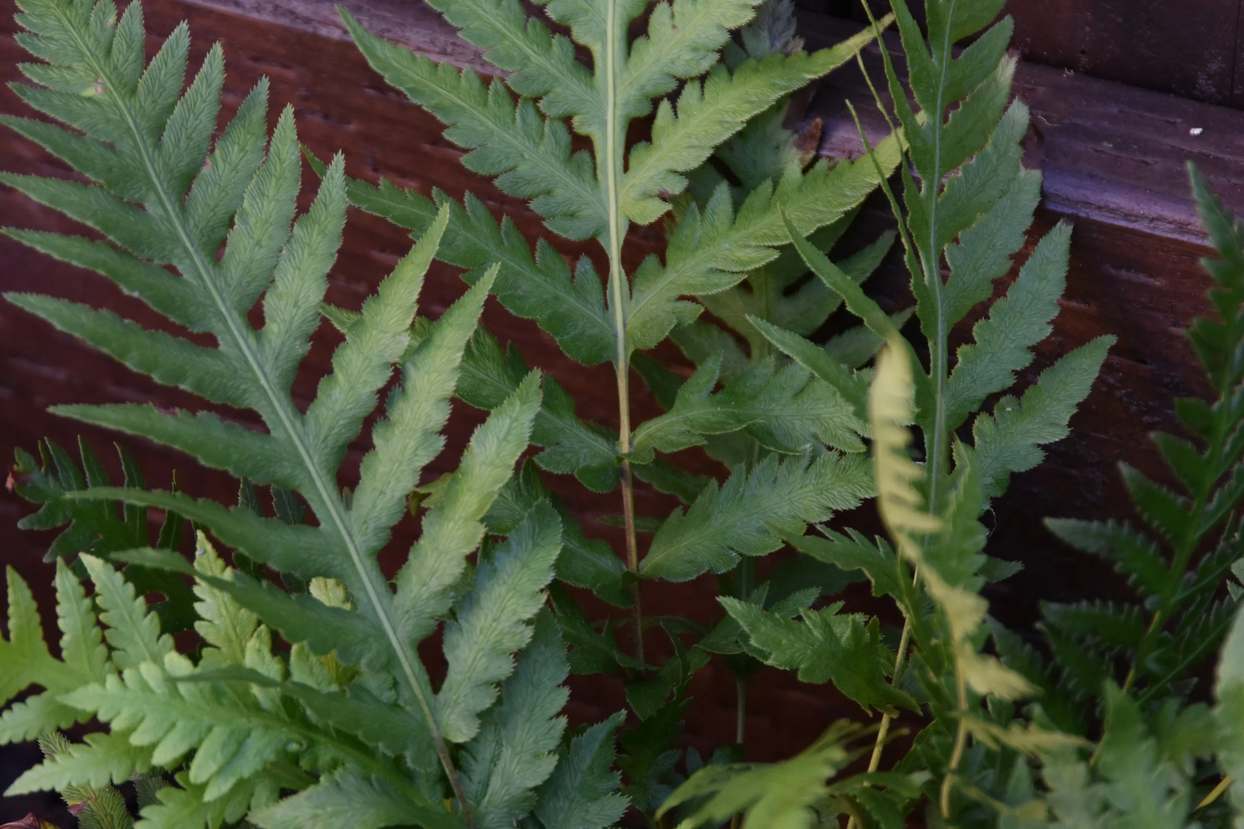 Image taken by ChloeHillPhotos