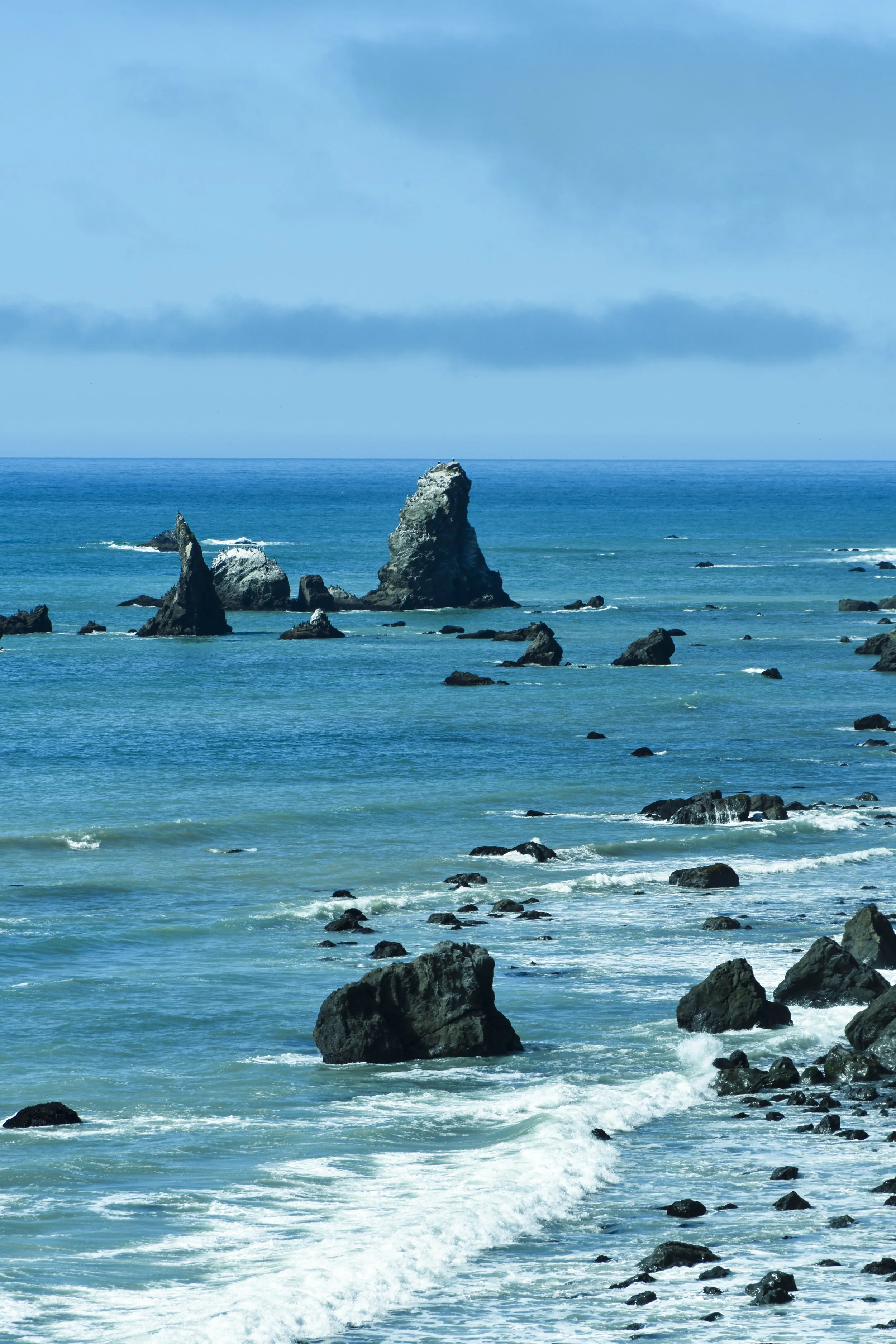 DSC_0005.jpg