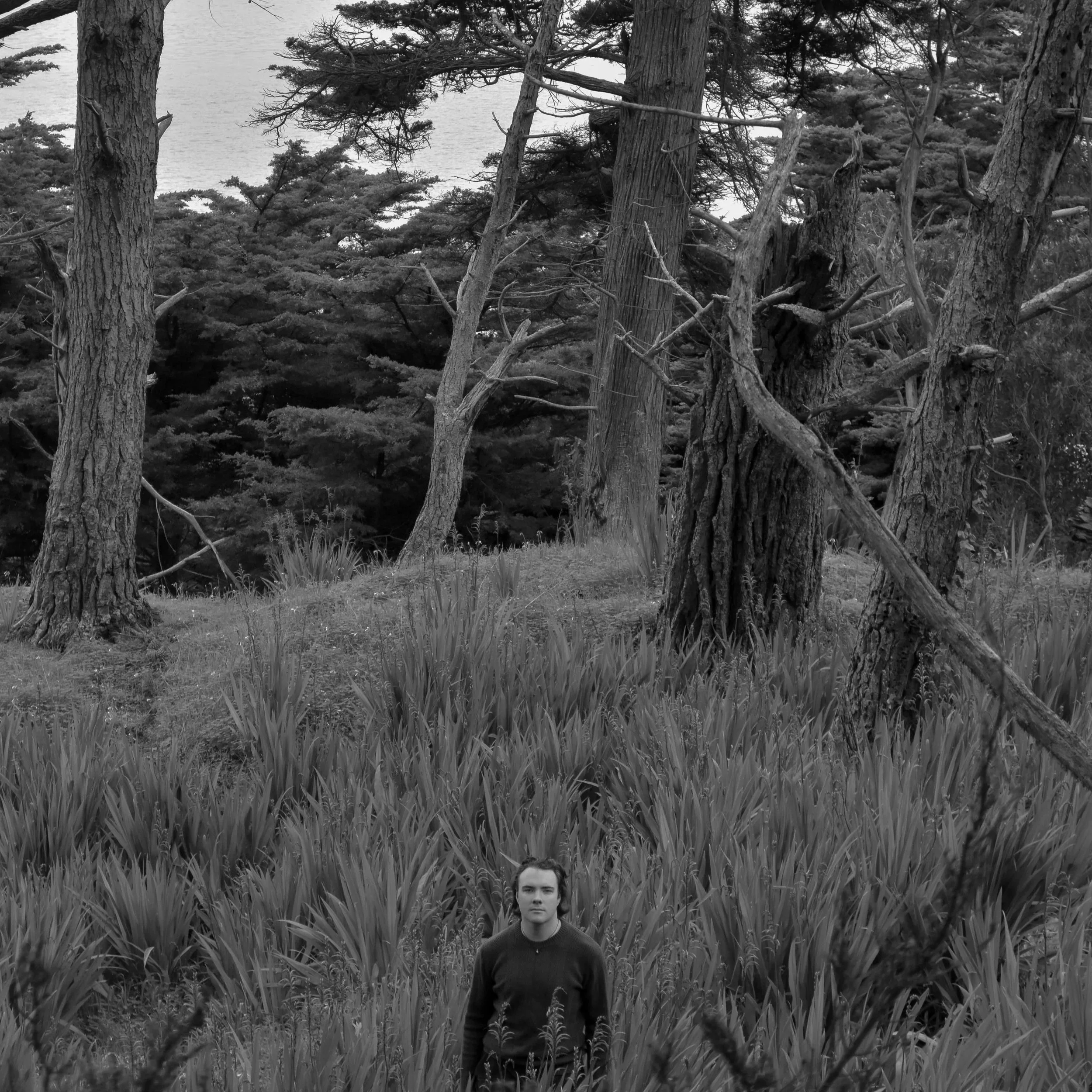 Photographer's Choice