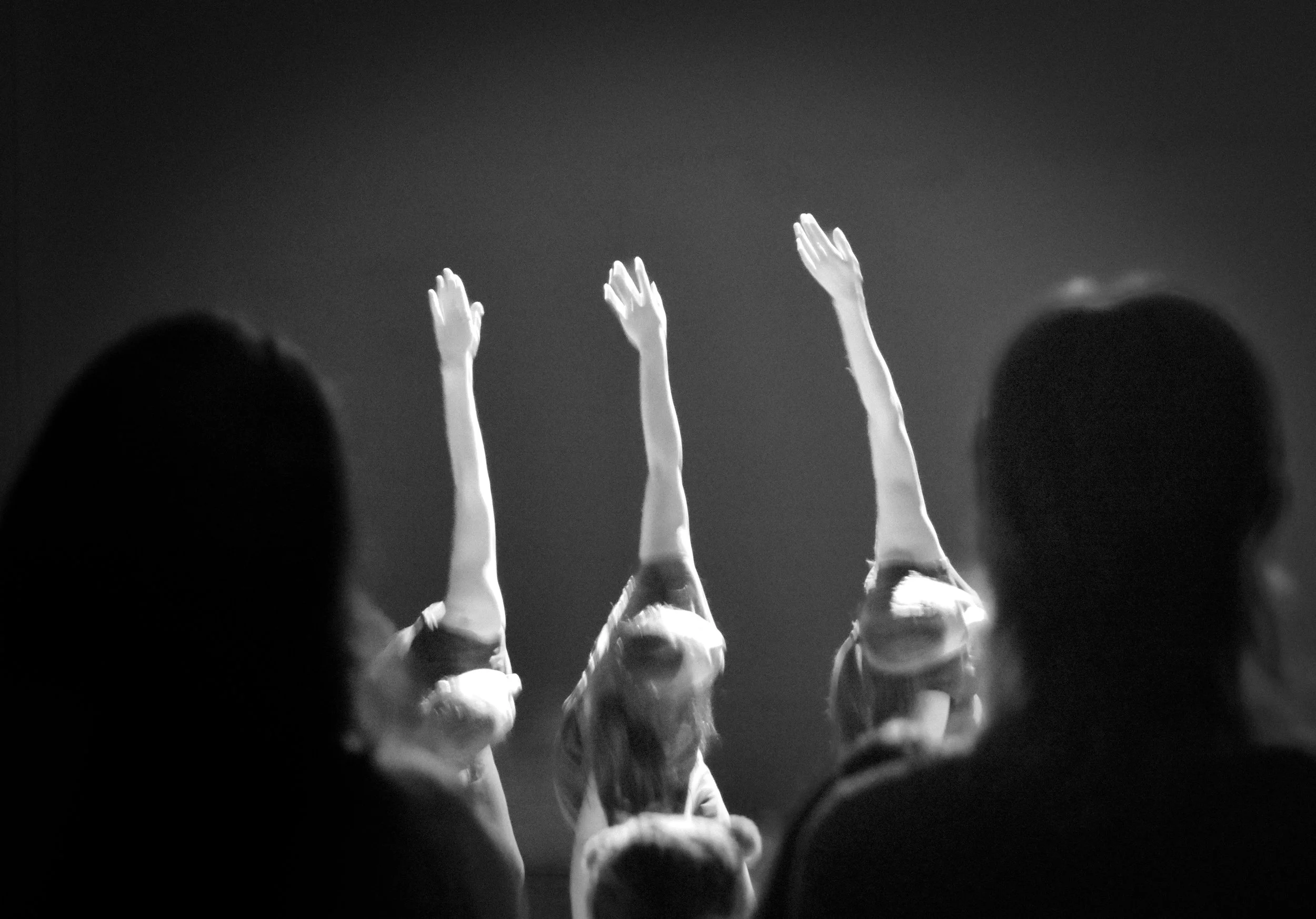 Image taken by ChloeHillPhotos