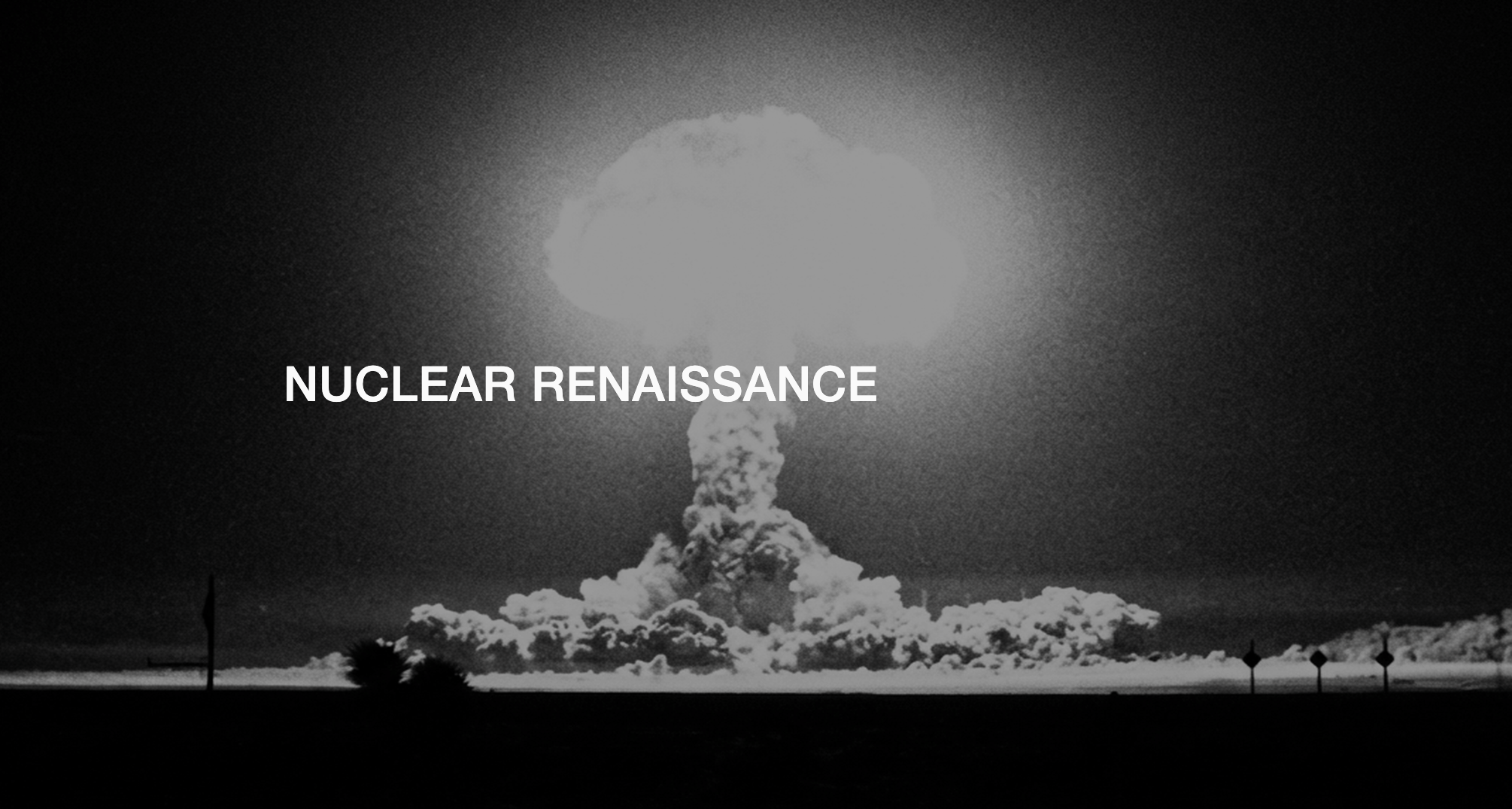 Nuclear Renaissance