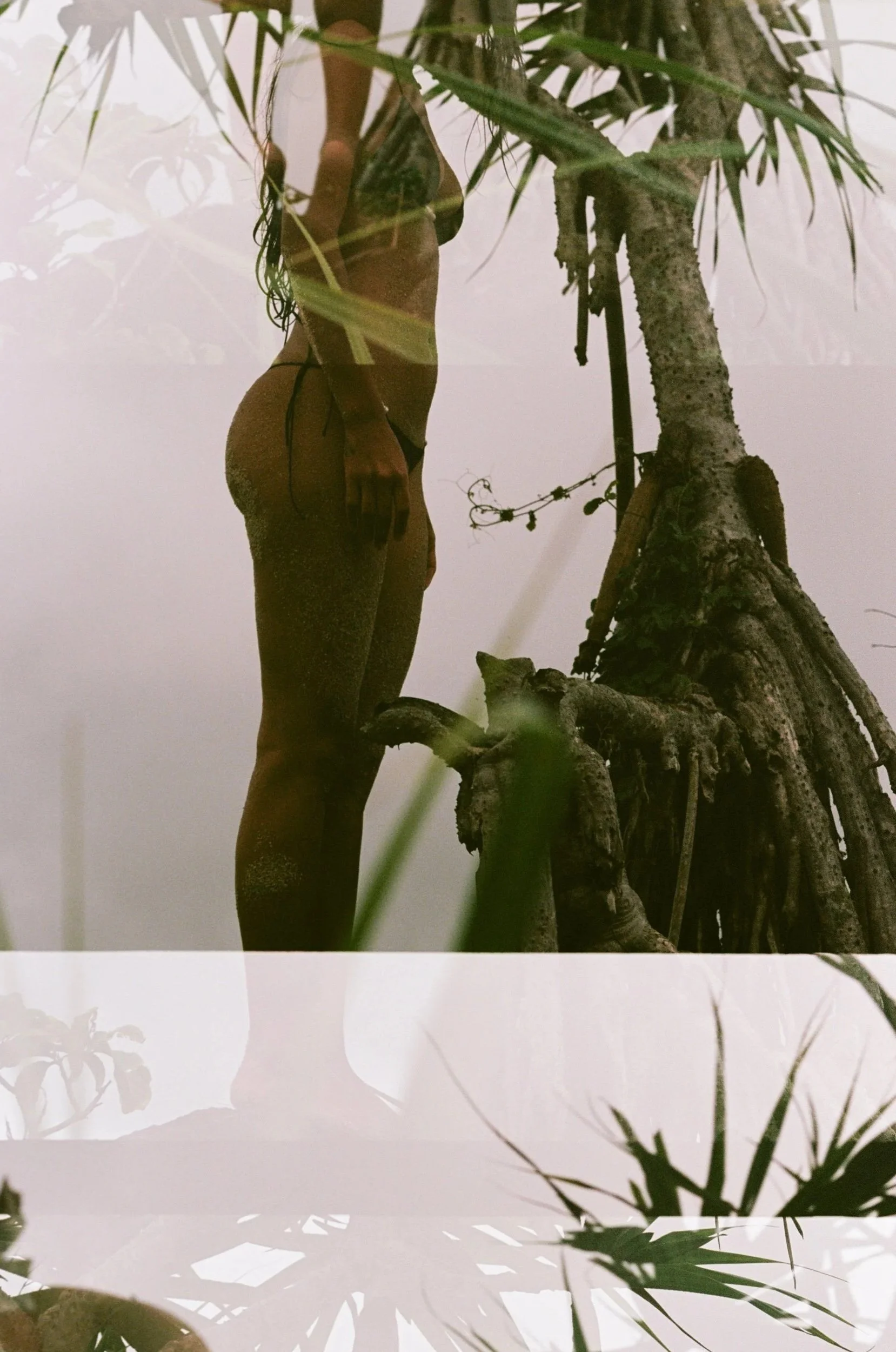 Reflection of a person in water, with visible parts of the person's body and boat, surrounded by plants and a gnarled tree