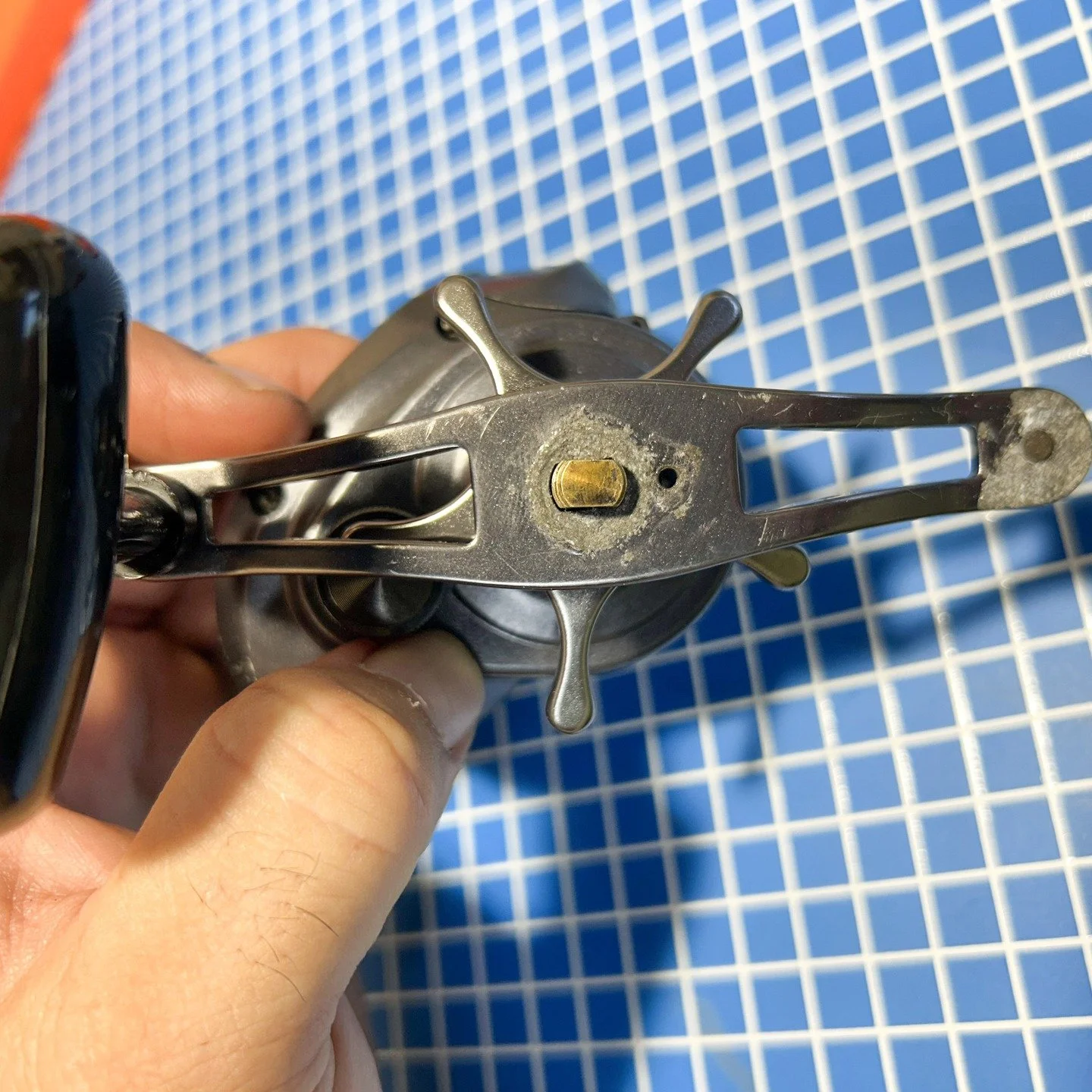 Lexa 300 needed a little love. He's looking FRESH now!