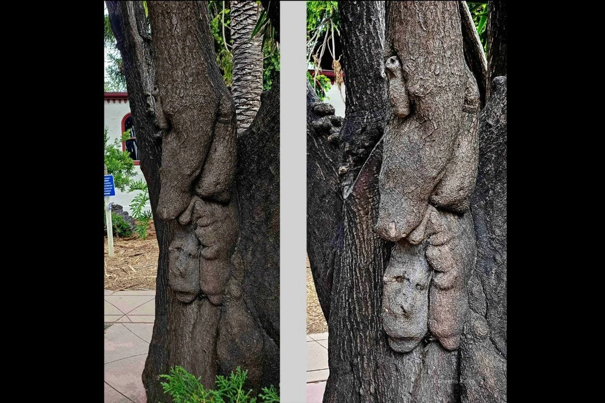 Pareidolia
