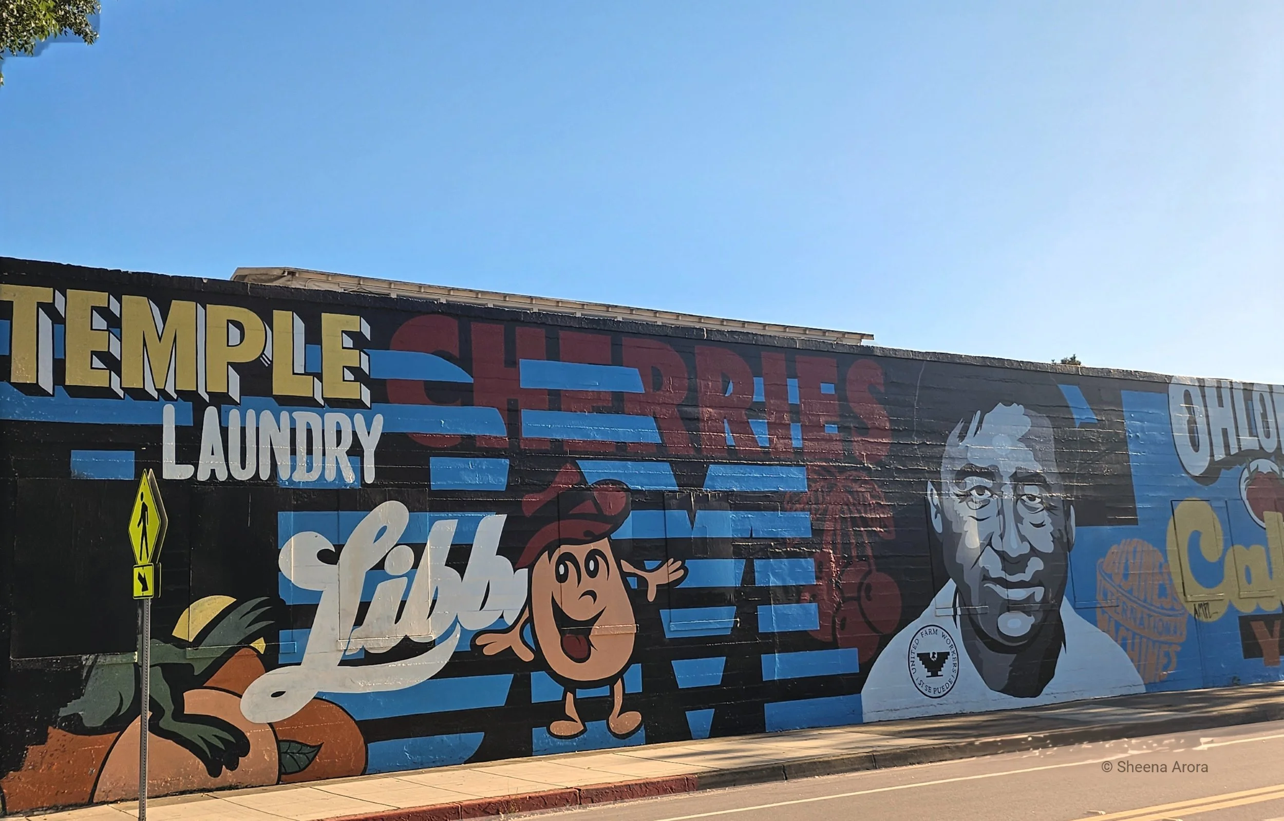 A vibrant outdoor street art mural in San Jose featuring bold, overlapping graphic typography including "TEMPLE LAUNDRY", "Libby's", and blue-and-black IBM stripes alongside a monochrome portrait of Cesar Chavez, captured by Sheena Arora.