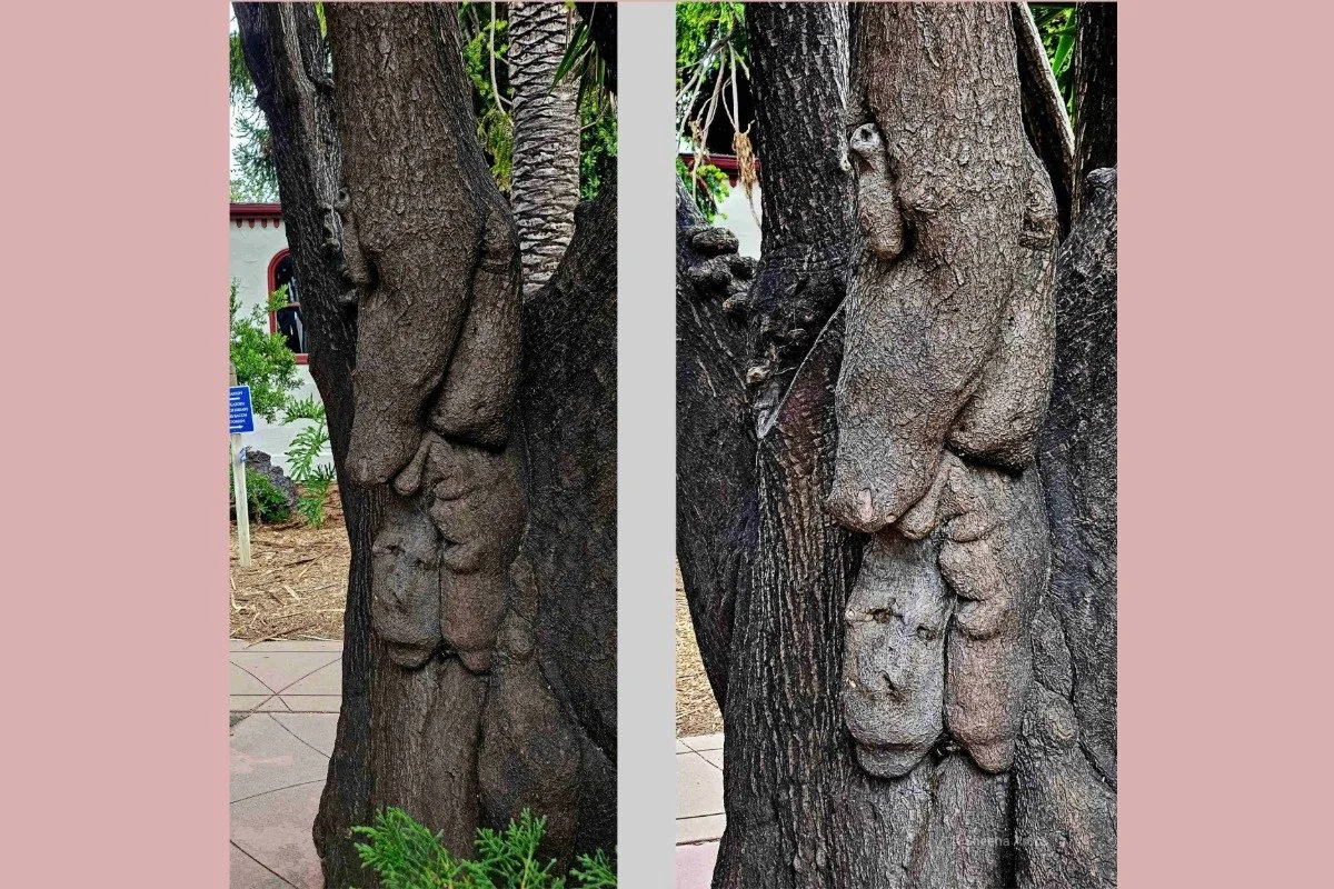 Pareidolia