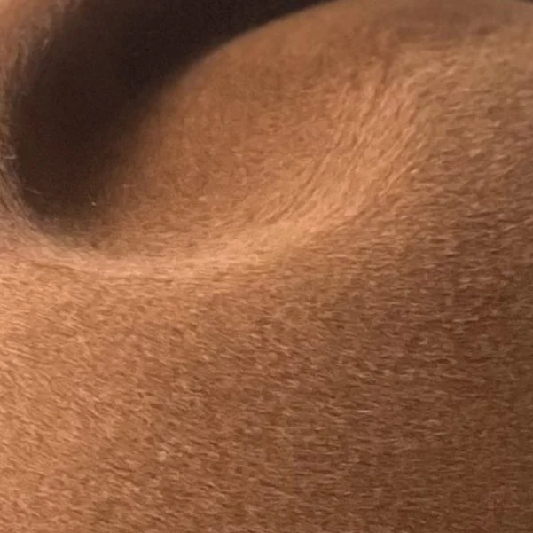 Velour
