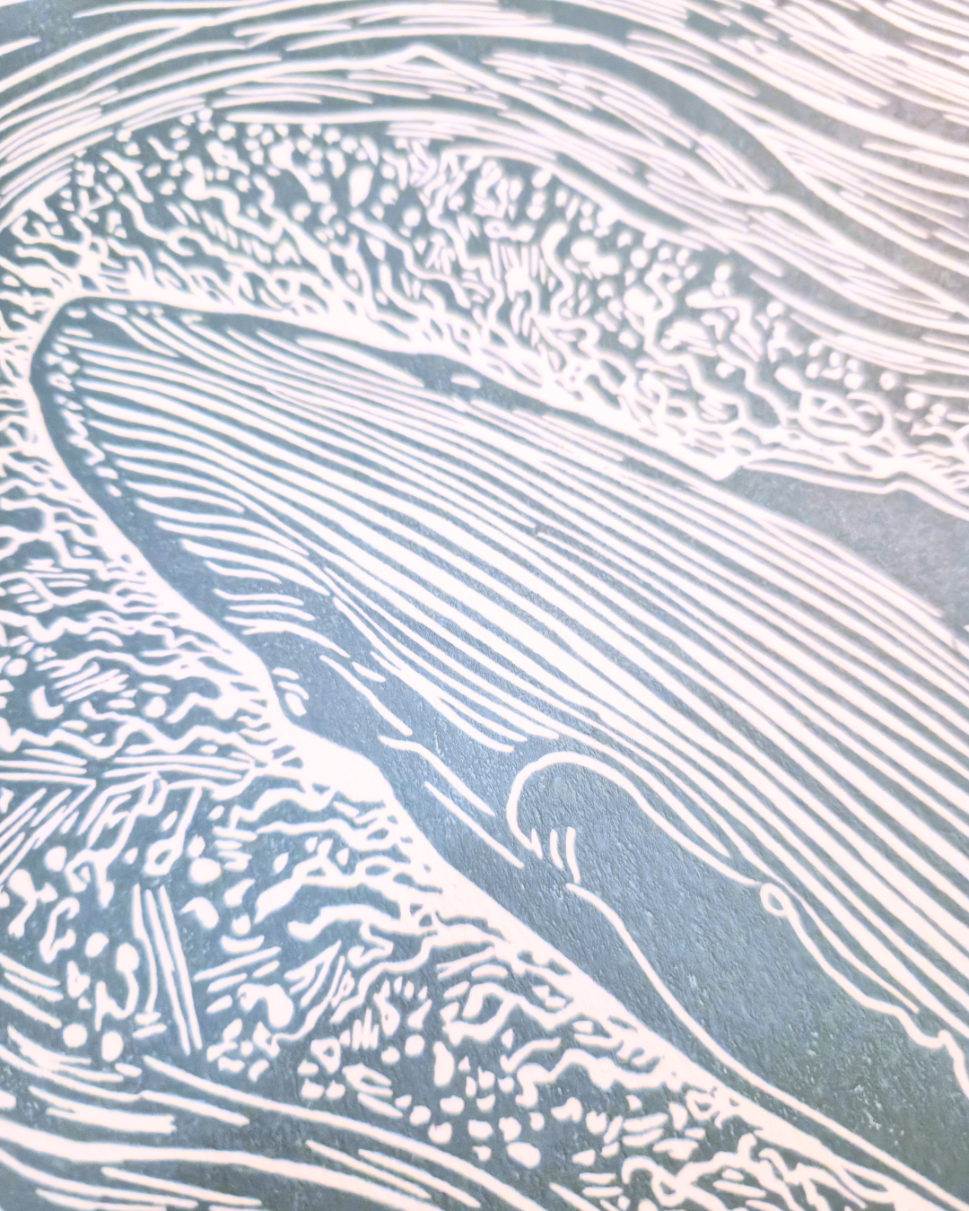 Détail linogravure bleu poudré baleine estampes de minuit.png