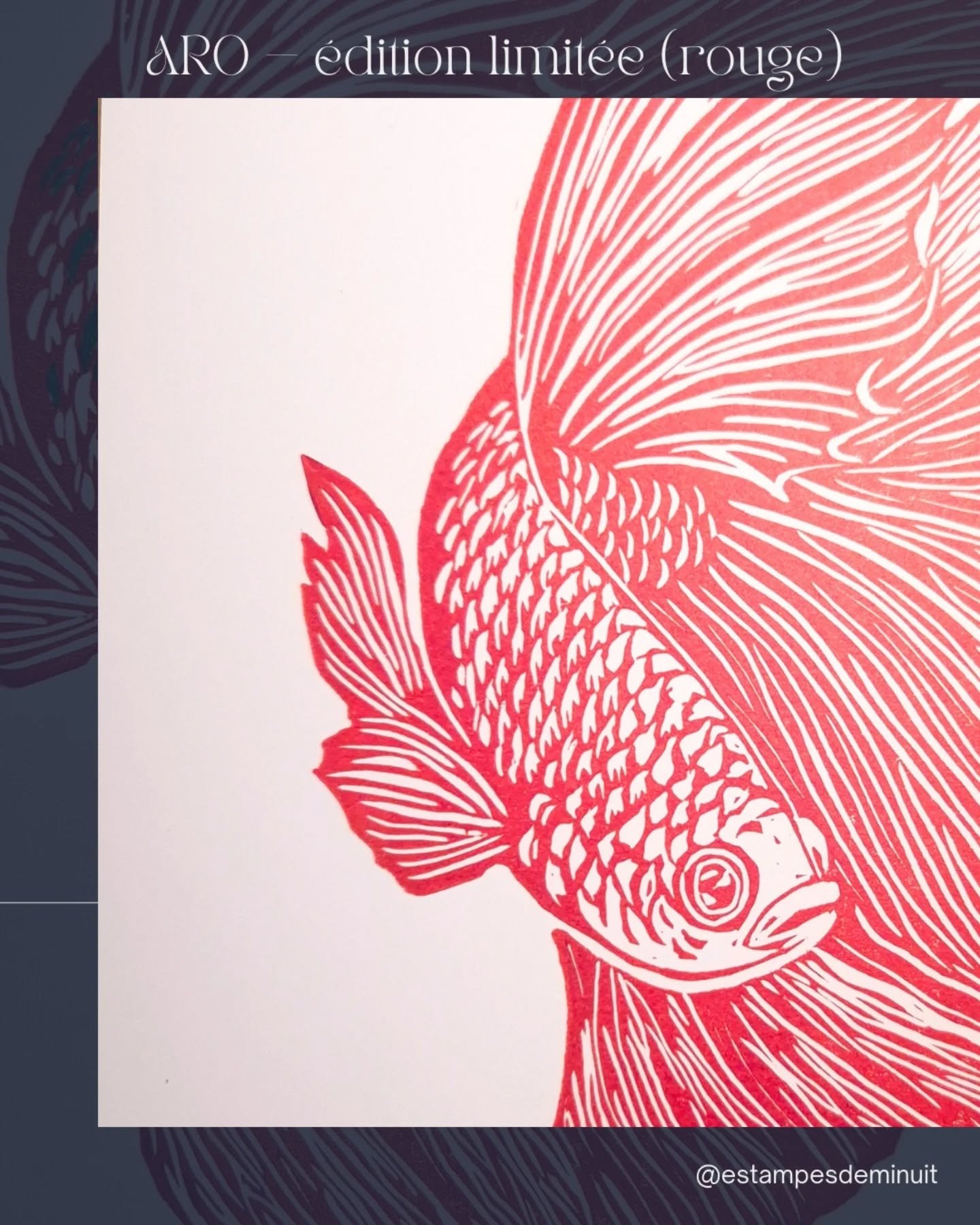 ARO &ndash; &eacute;dition limit&eacute;e rouge 🐟✨

Voici la nouvelle version de mon poisson ARO, enti&egrave;rement grav&eacute;e et imprim&eacute;e &agrave; la main.
Je voulais un rouge franc, celui qui rappelle la couleur intense de ces beaux poi