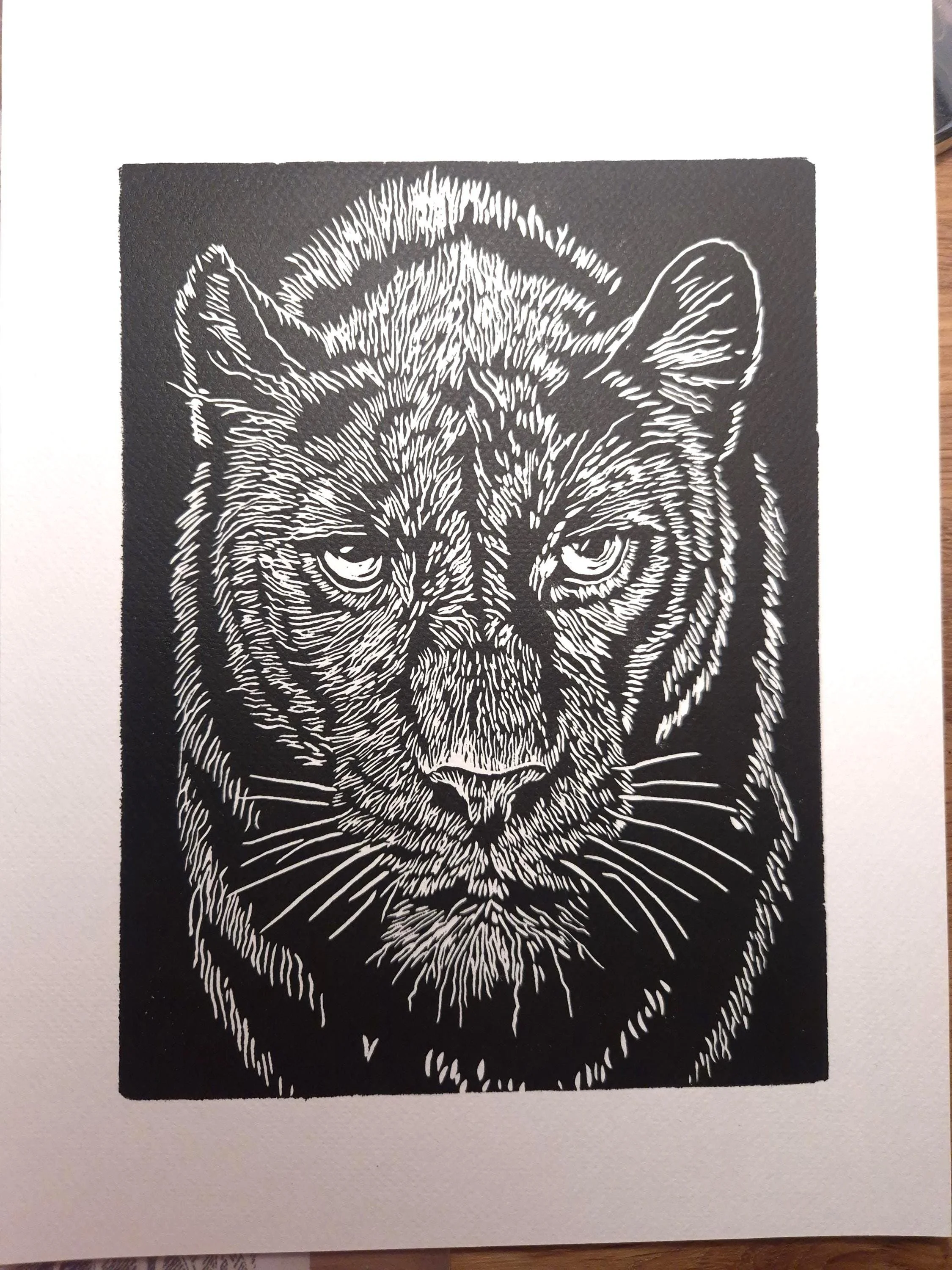 Le Veilleur Silencieux