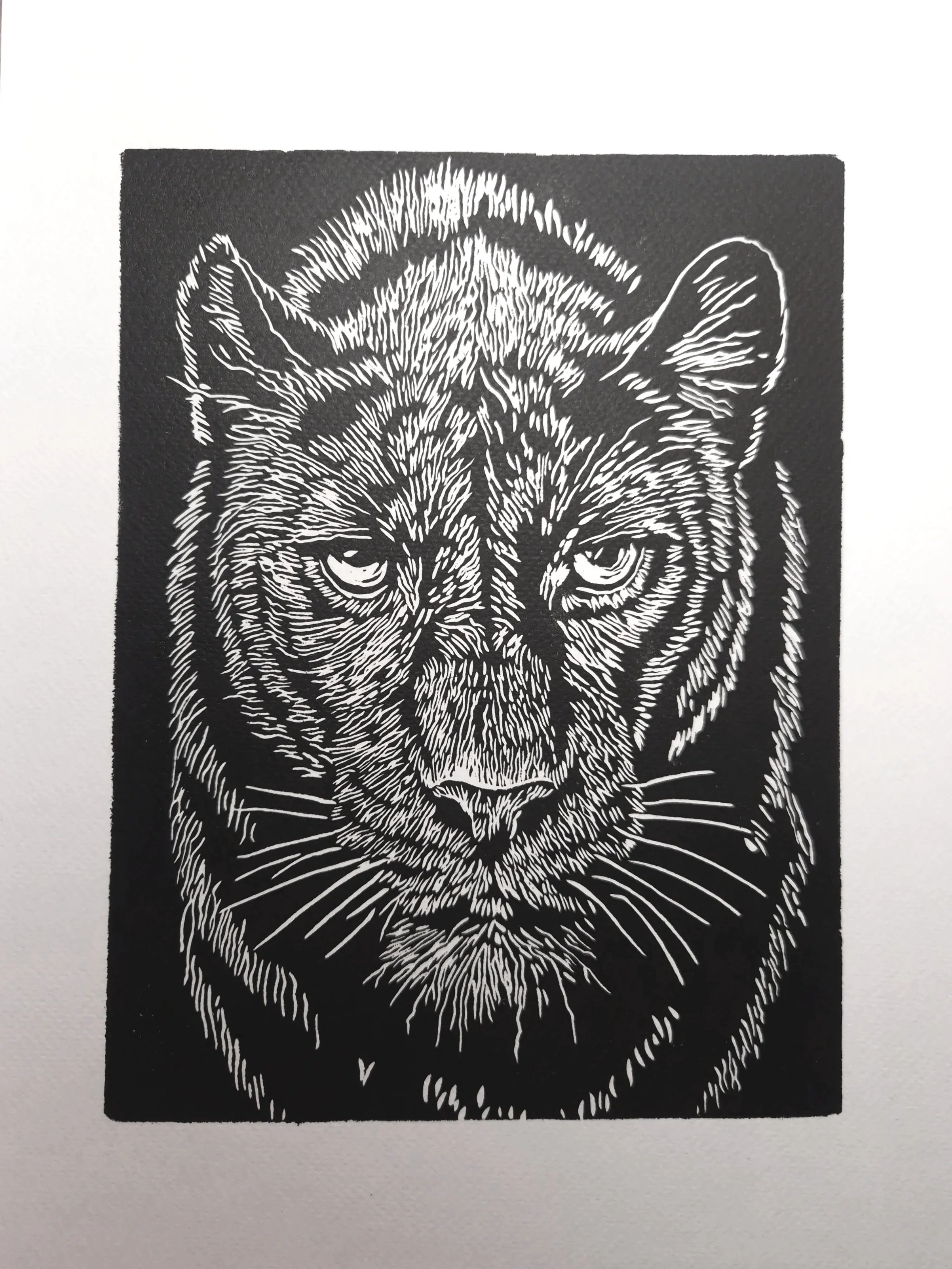 linogravure-estampes-de-minuit-panthere-noire-veilleur-silencieux.jpg
