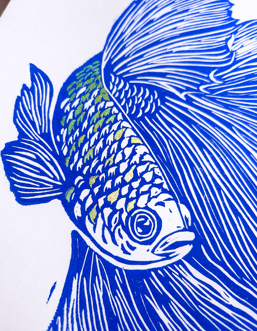 linogravure_aro_poisson_combattant_closeup_bleu_estampes_de_minuit.png