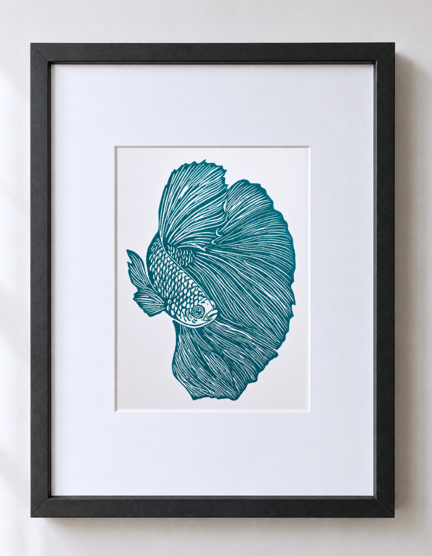 linogravure_aro_poisson_combattant_turquoise_ecailles_estampes_de_minuit_encadree.png