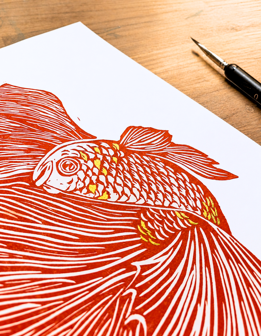 linogravure_aro_poisson_combattant_closeup_rouge_estampes_de_minuit.png
