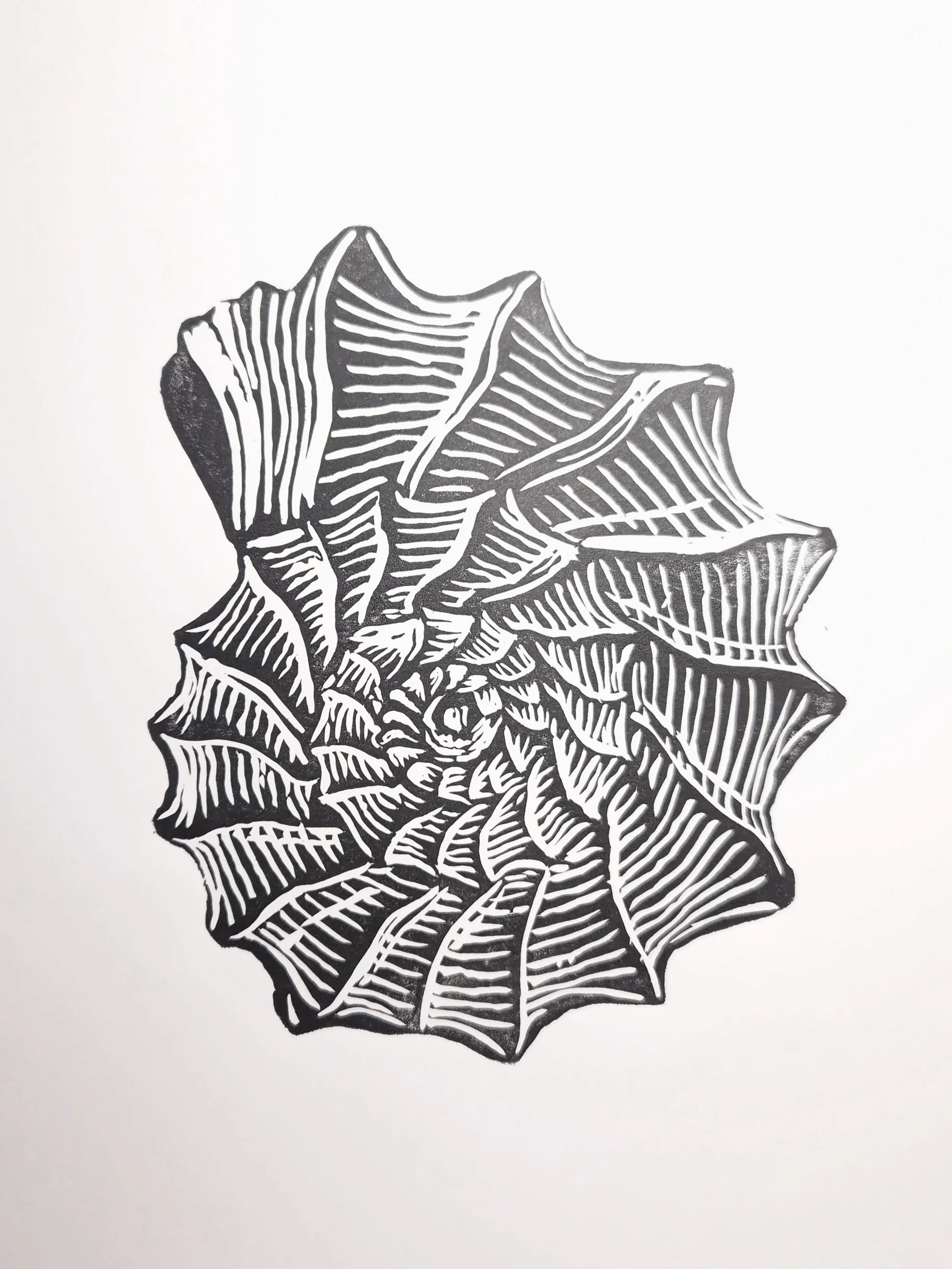 Spiralis