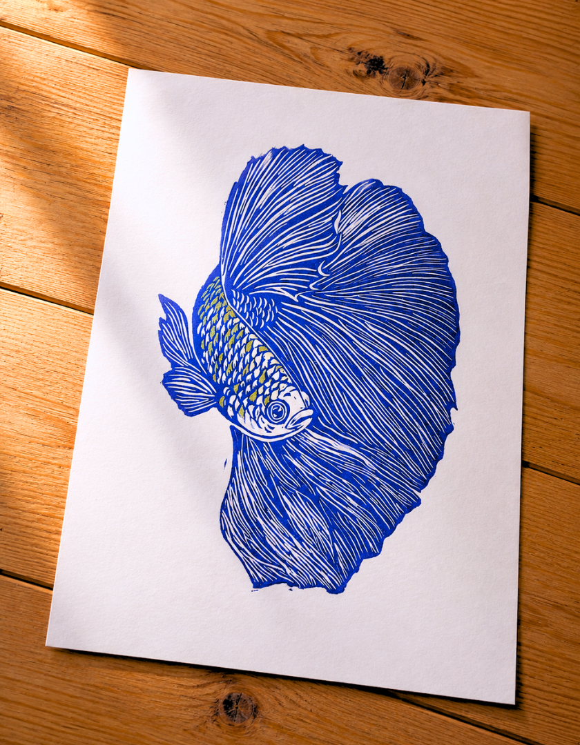 linogravure_aro_poisson_combattant_bleu_ecailles_estampes_de_minuit.png