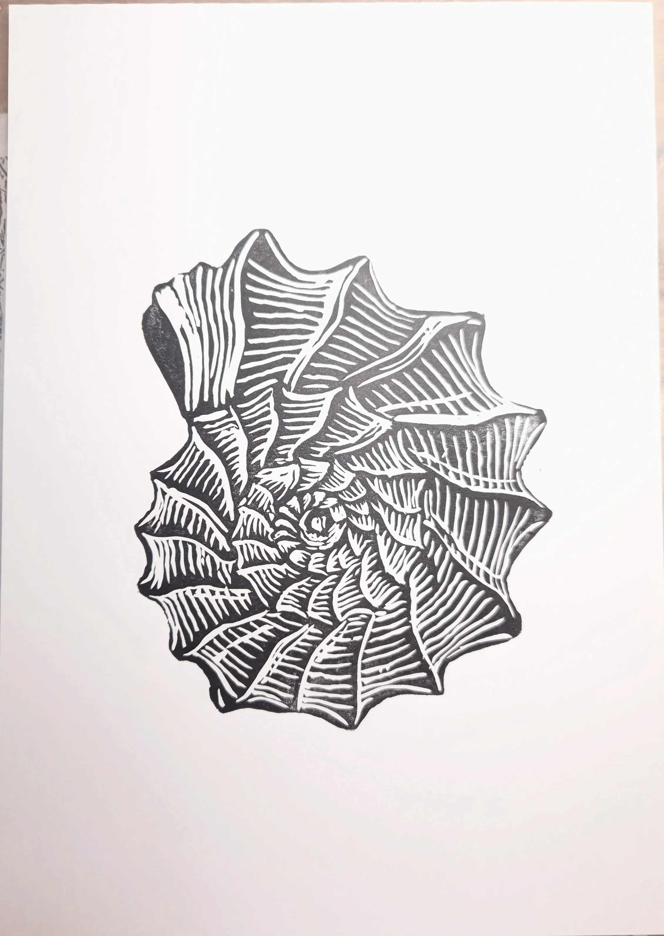Linogravure “Spiralis” – Estampe d’art inspirée des coquillages, faite main en tirage limité
