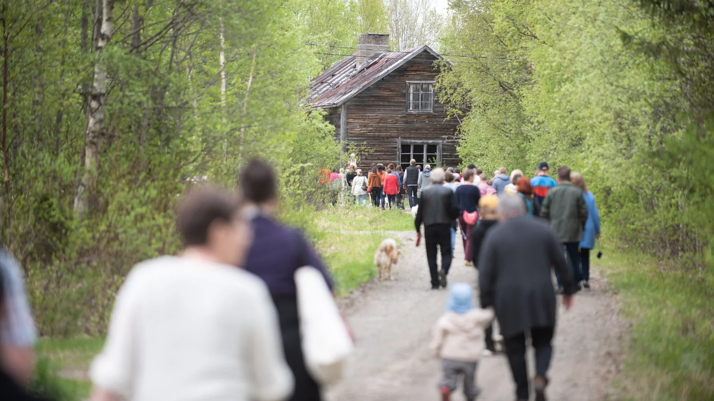 Hiljaisuus Festival