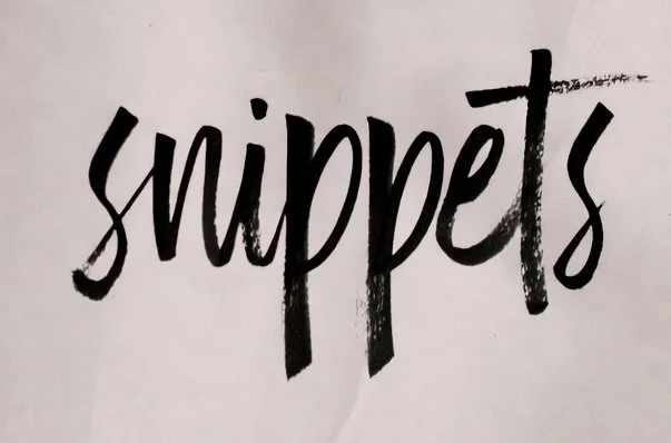 Image of the word 'snippets,' spelt out as a headline.