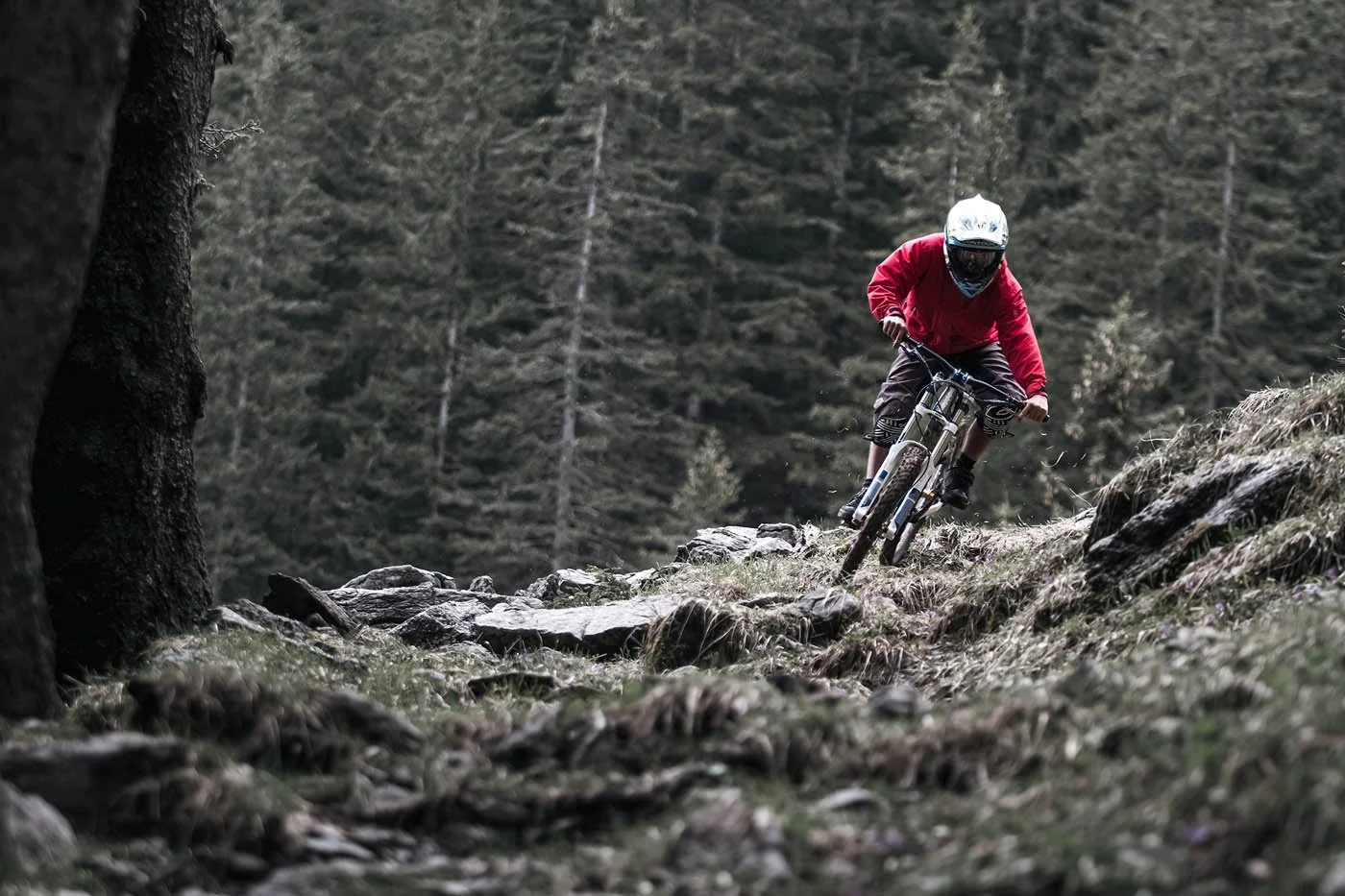 Mountainbiker in roter Jacke auf schroffer, kiesbedeckter Waldweg im Gebirge, umgeben von Tannenbäumen.