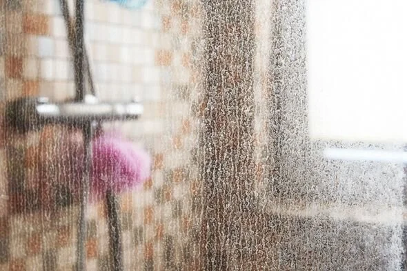 Cleaning in Far North Queensland: Humidity, Harsh Water &amp; What It Means for Your Home