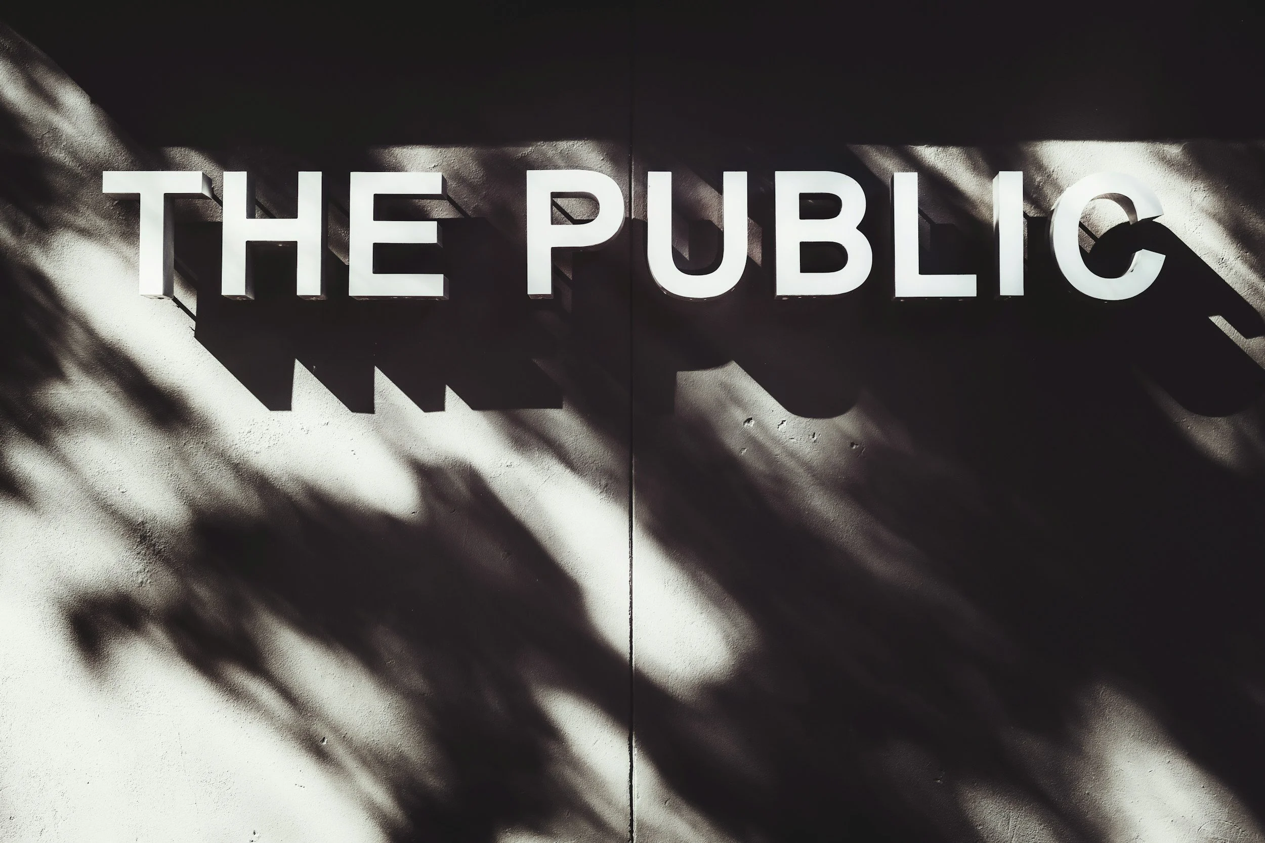 Image of signage "The Public"