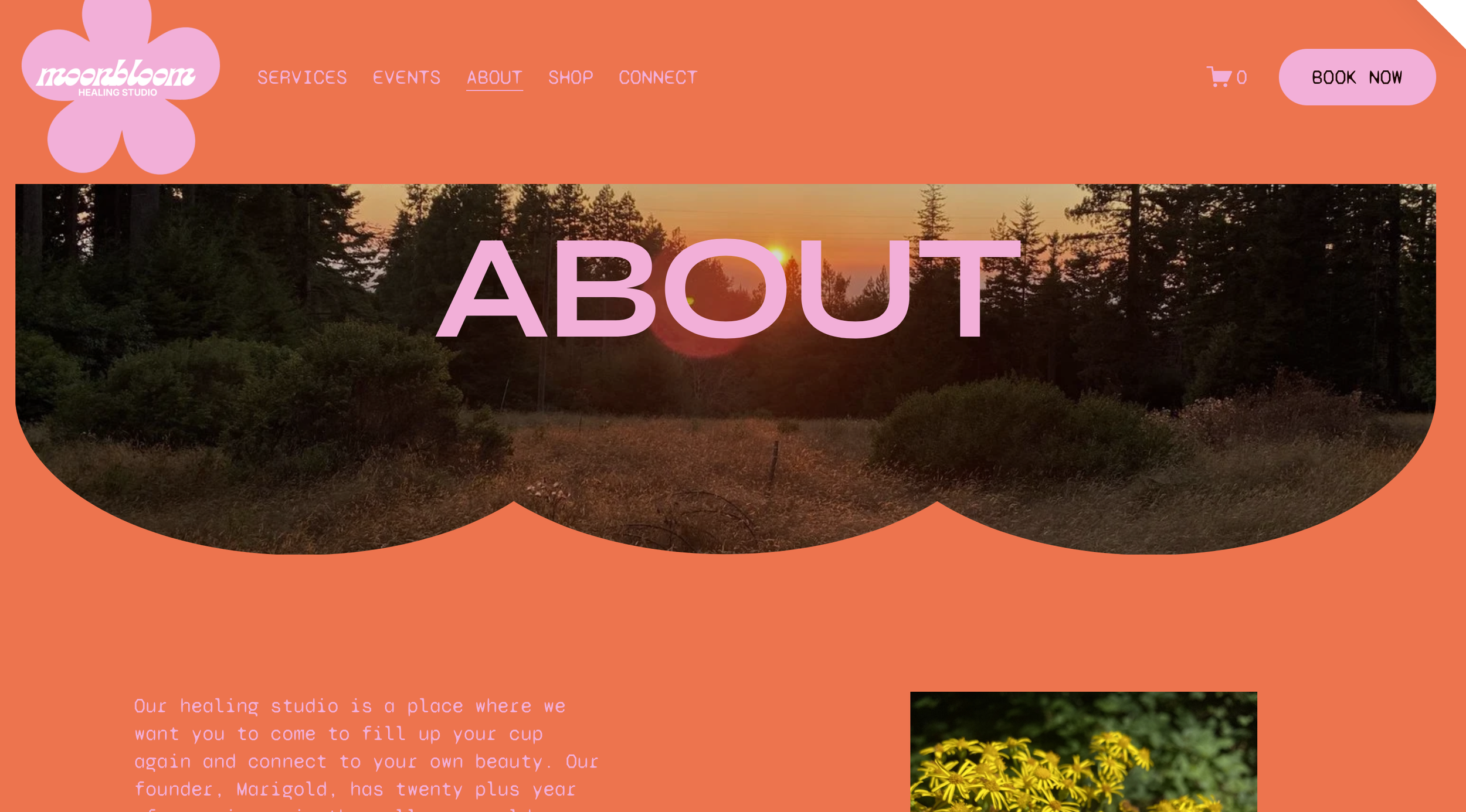 About page: The about page reflects  original photography "this meadow-at-sunset shot", taken by me  to show buyers how their own personal photography could elevate the template beyond its defaults."