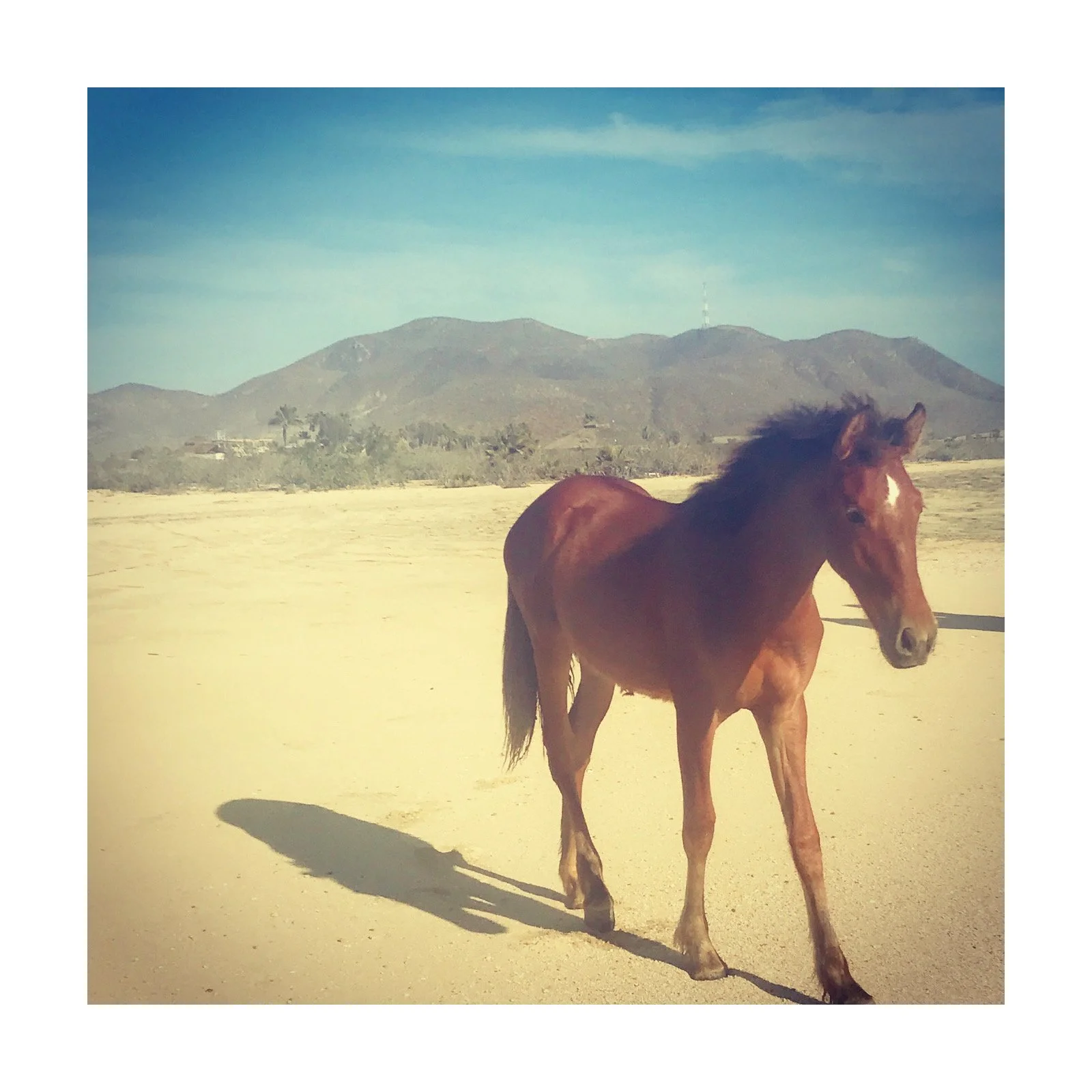 Whitagram-Image (10).jpg