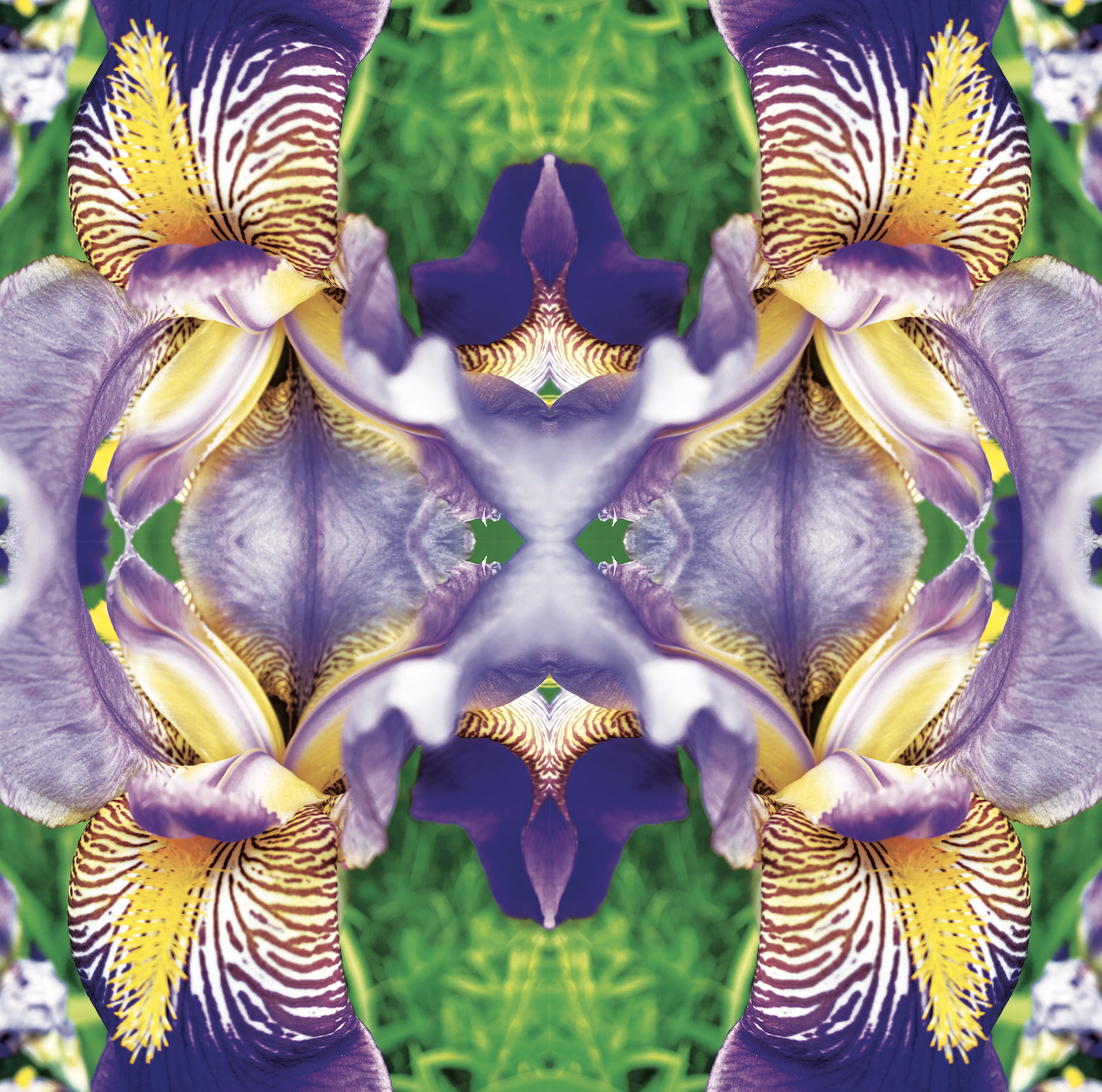 Iris - Greek Goddess of the Rainbow