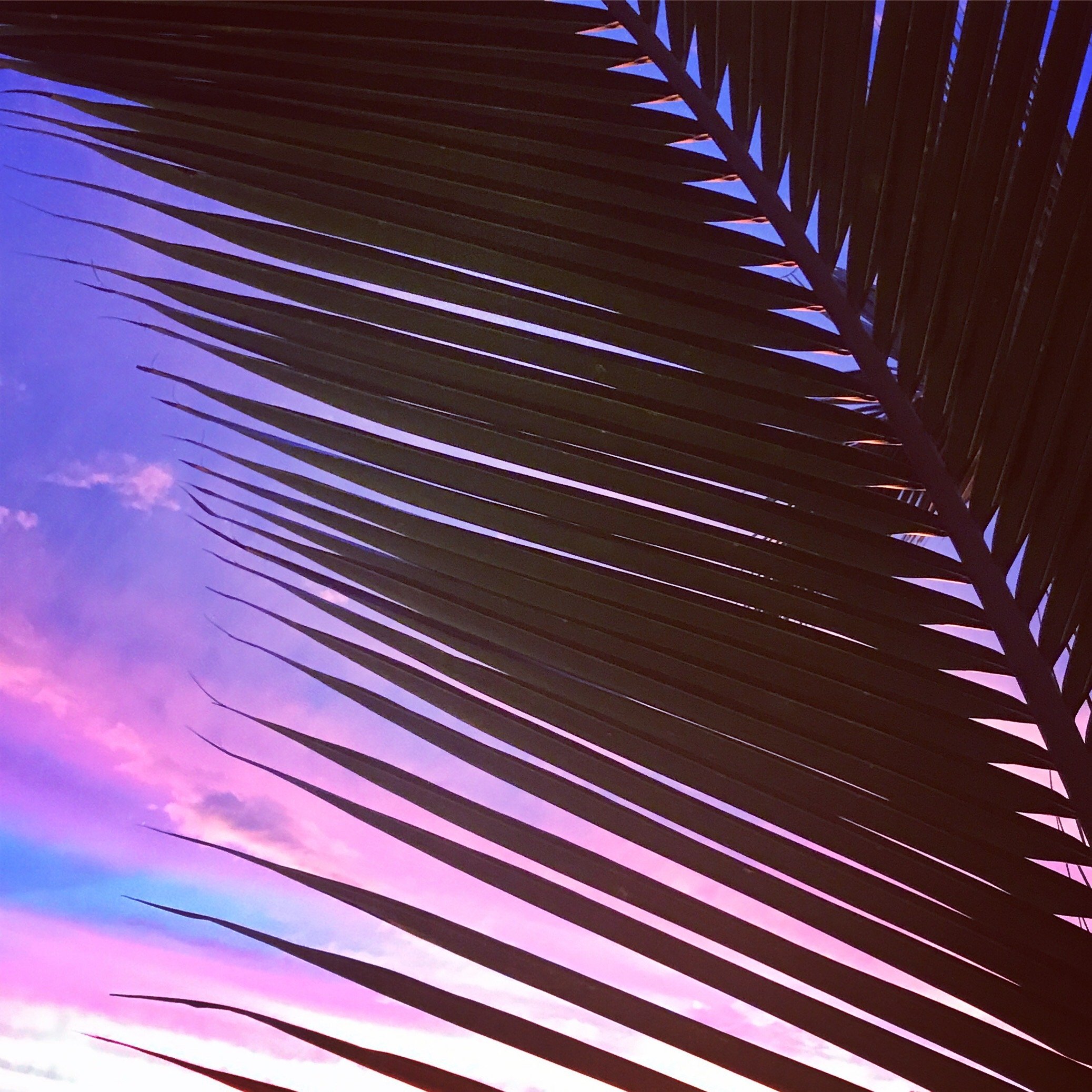 18E6A584-708F-4993-800B-1DD4B4ADE43C.jpg