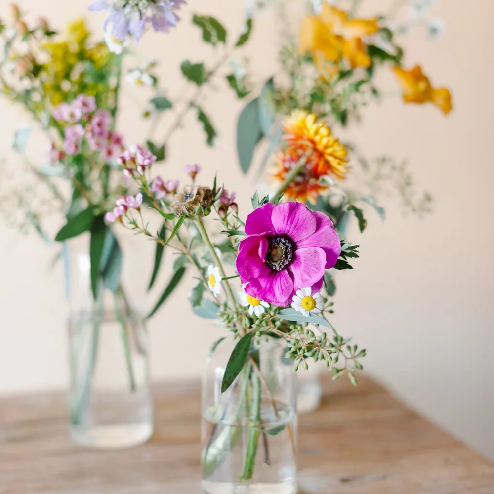 CBT for Stress, Anxiety, or Depression