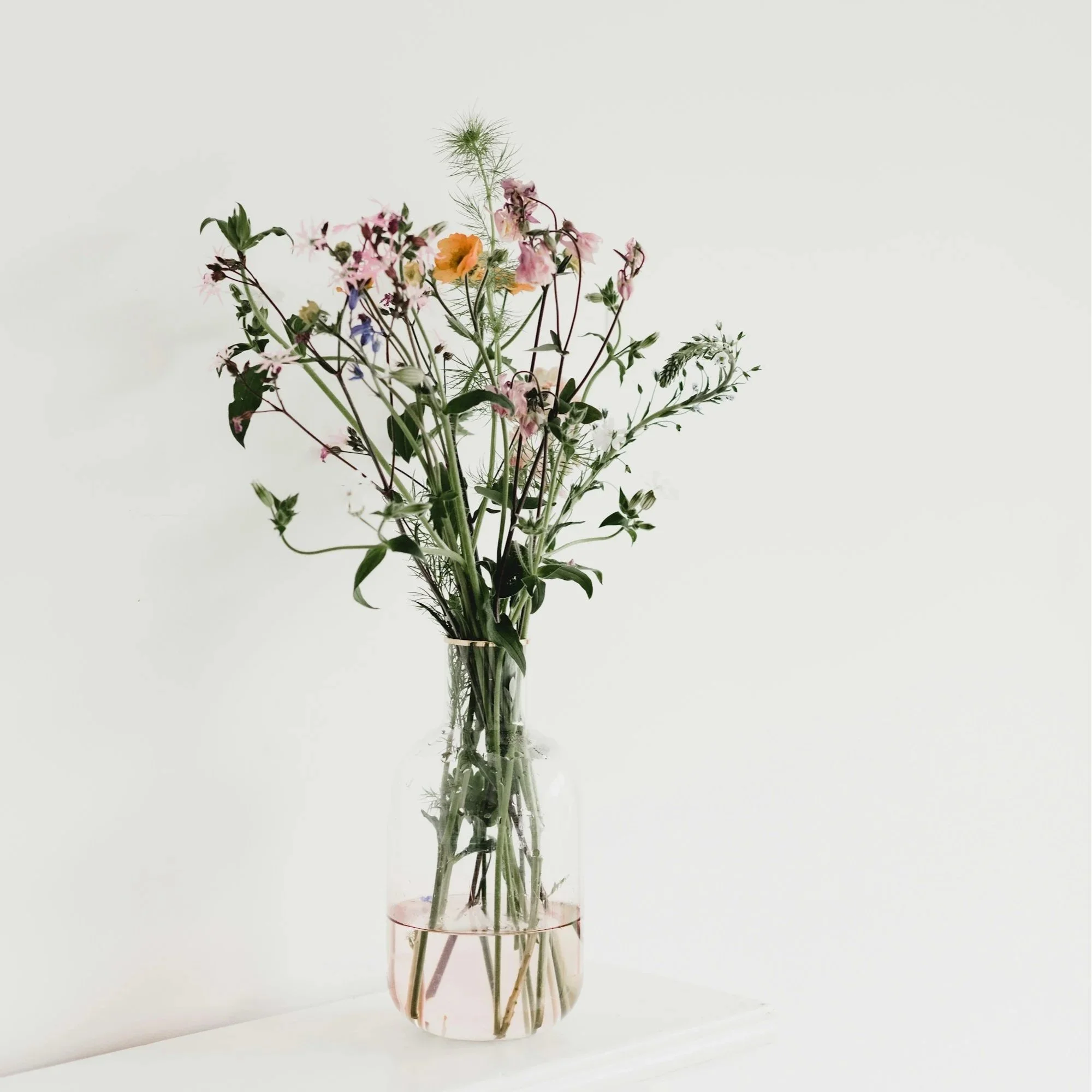 Trauma-Focused Cognitive Behavioral Therapy