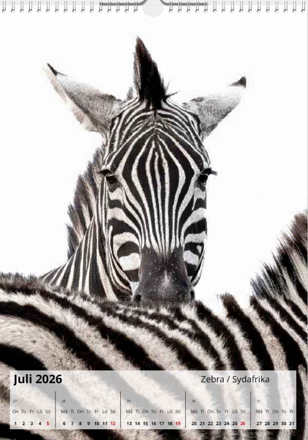 Skärmbild 2025-10-20 171922.png