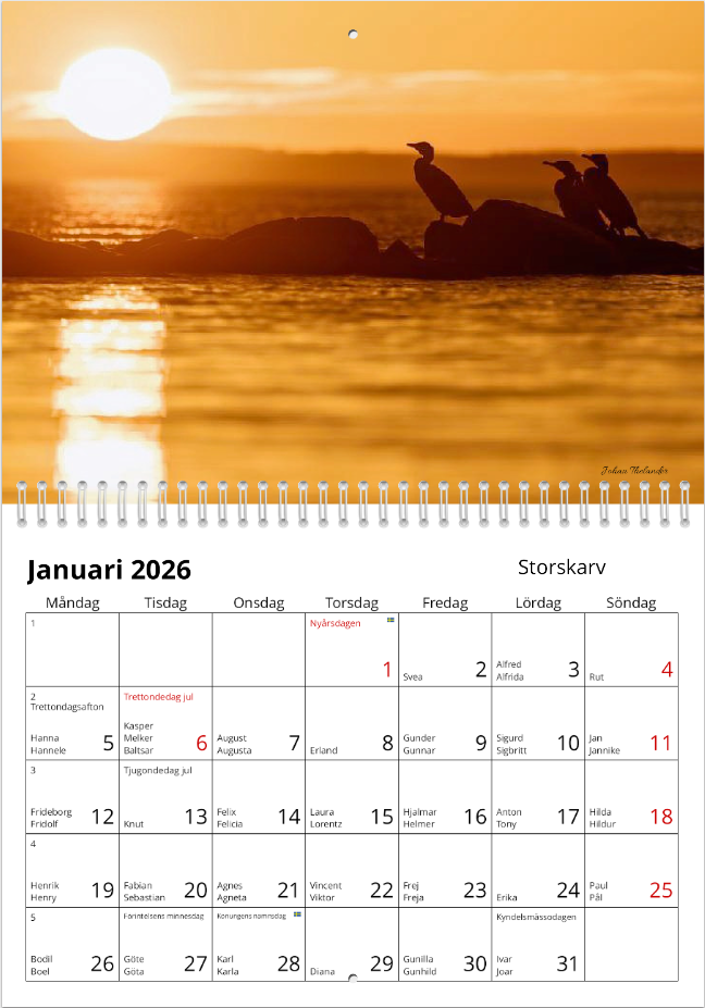 Skärmbild 2025-10-20 171709.png