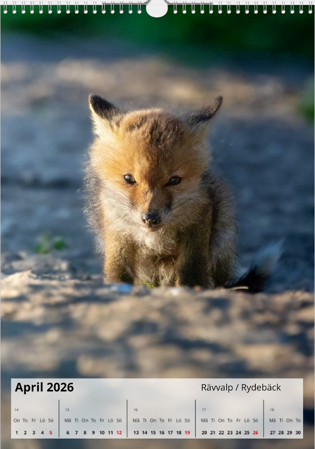 Skärmbild 2025-10-20 171855.png