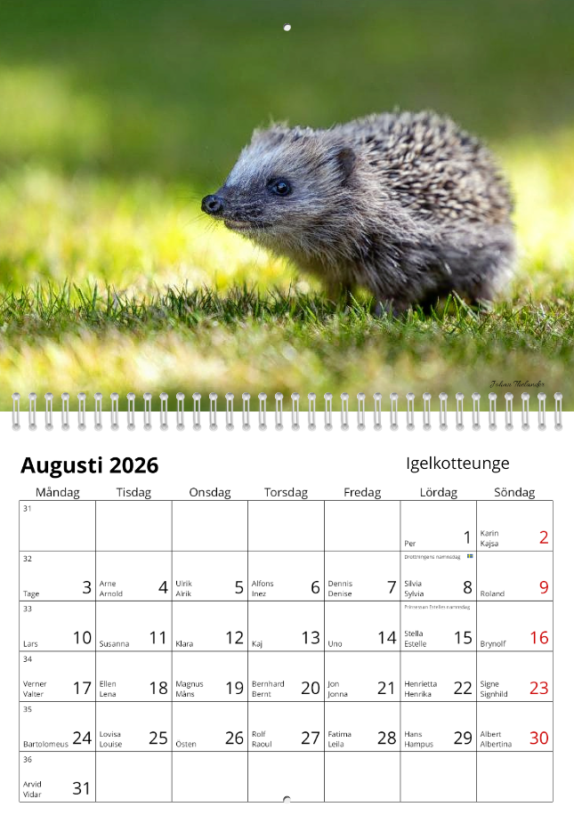 Skärmbild 2025-10-20 171755.png