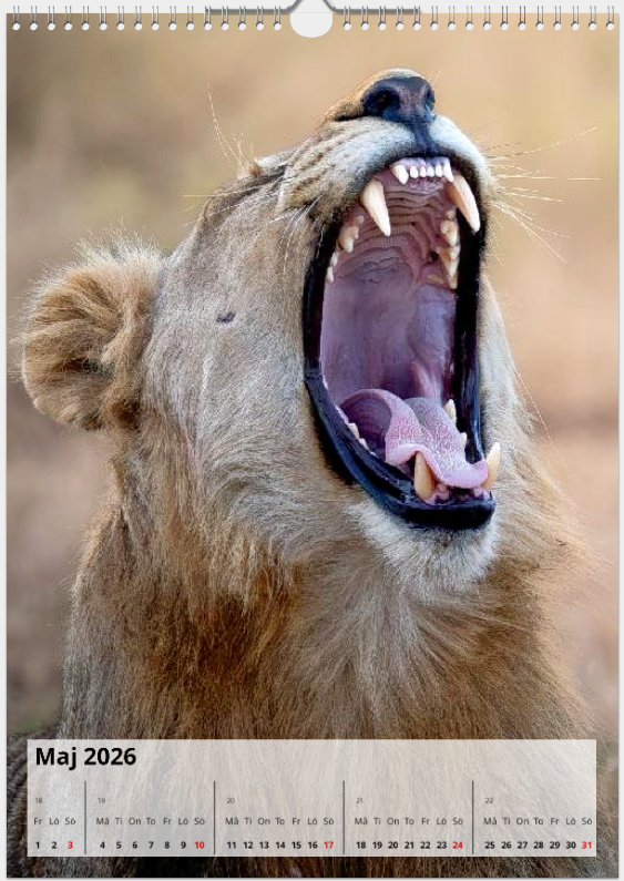 Skärmbild 2025-09-05 180040.png