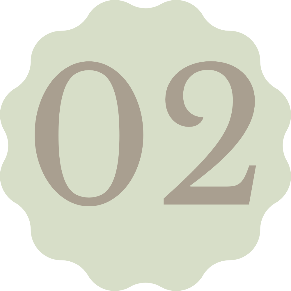 Number 02 in large gray font on a light green scalloped background.