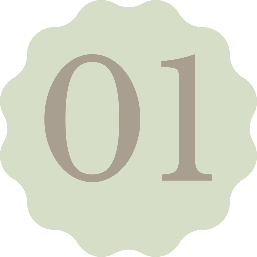 Number '01' on a light green scalloped background.