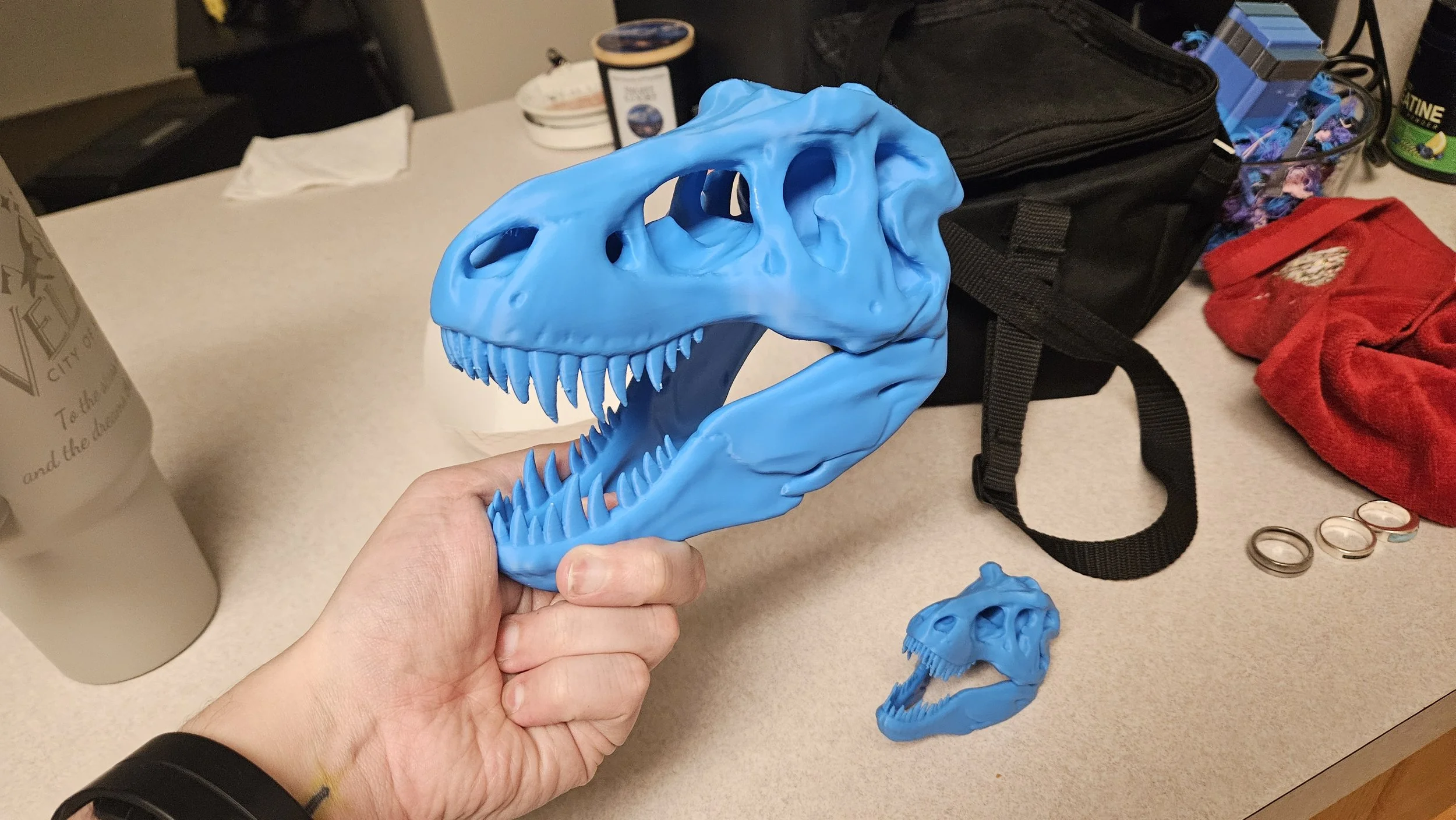 Trex Skulls Medium and Small.jpg