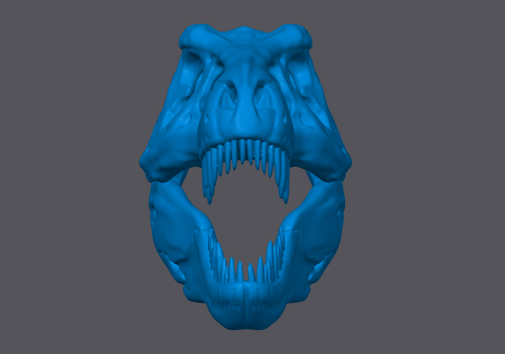 Trex Skull Back.png