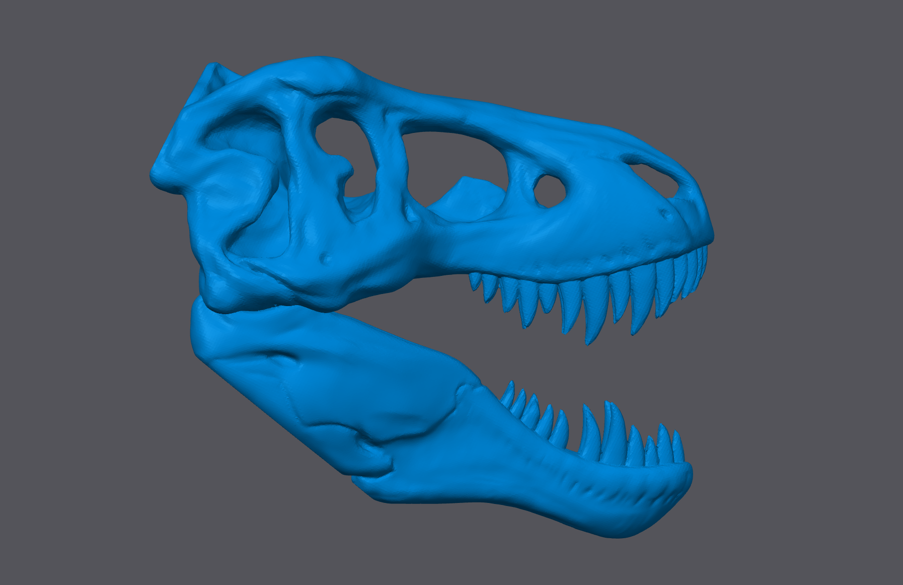 T-REX Dinosaur Skull