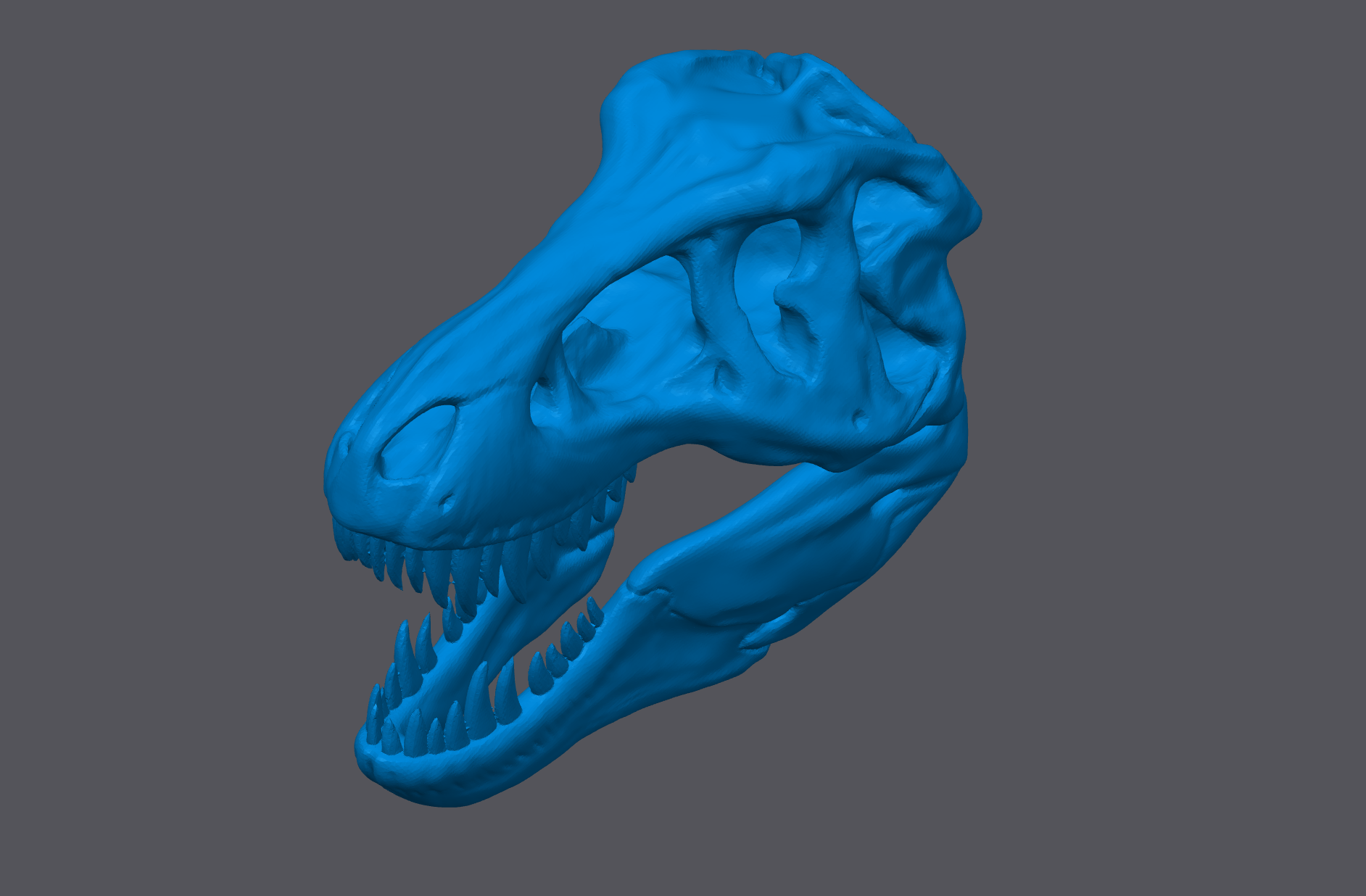 Trex Skull ISO.png