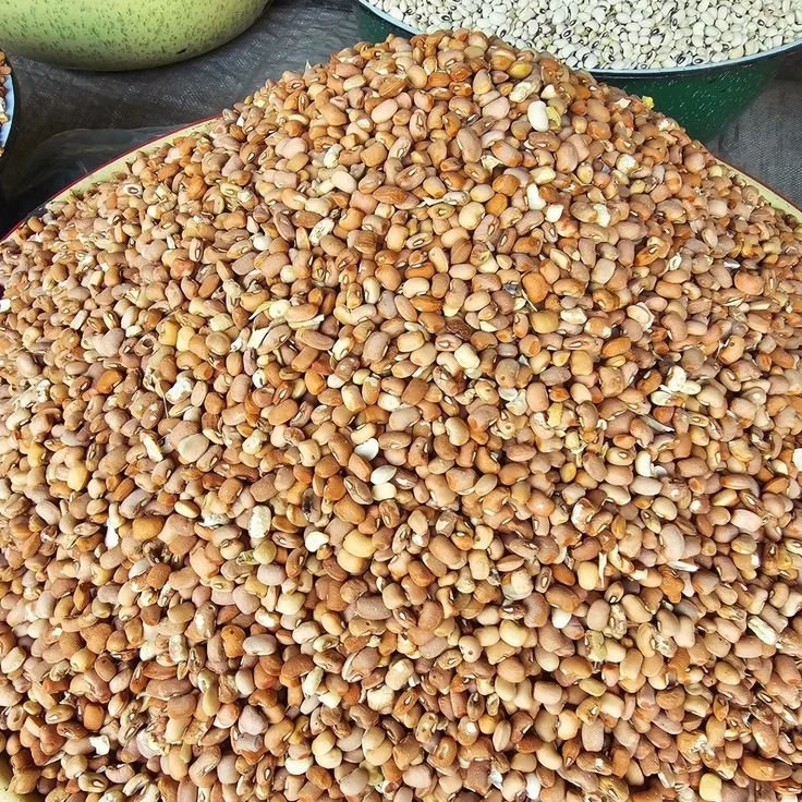 WhatsApp Image 2026-03-10 at 2.22.51 PM (2).jpeg